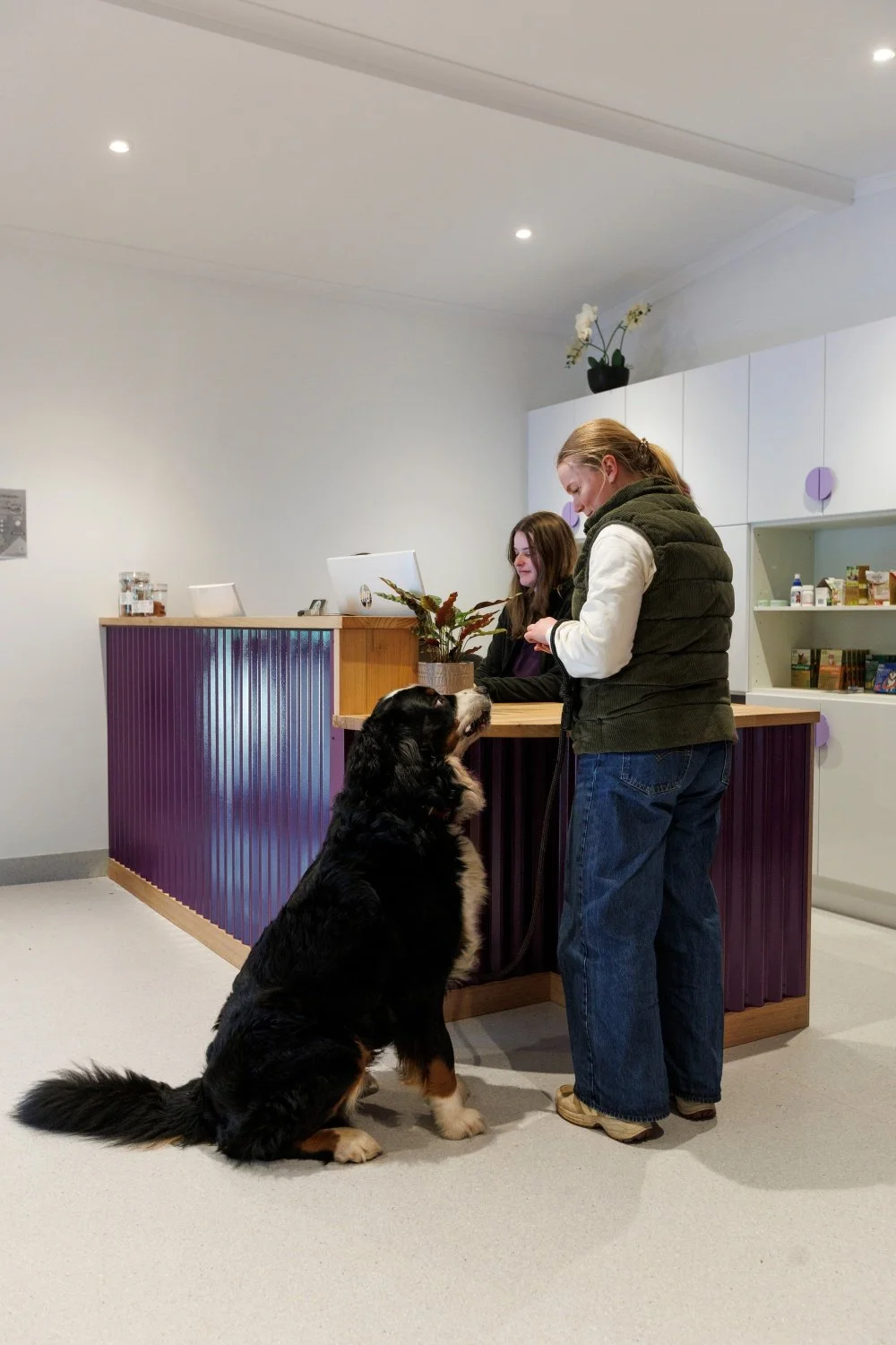 Staff at veterinary practice welcome patients and their pawrents