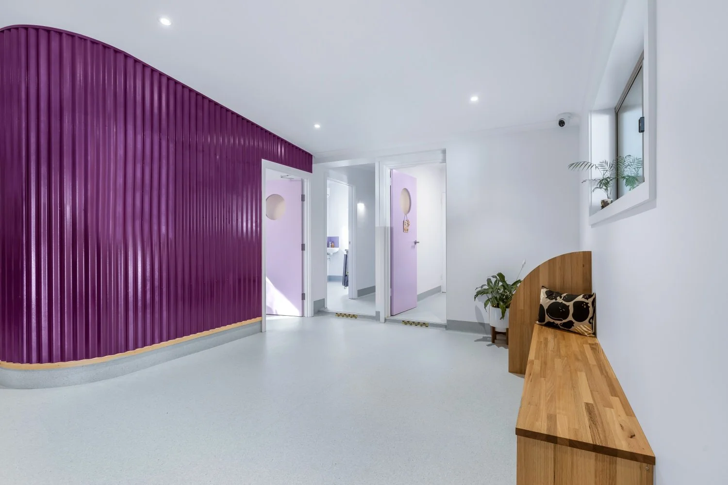 Veterinary waiting area with timber benches, lavender consultation doors and curved feature wall
