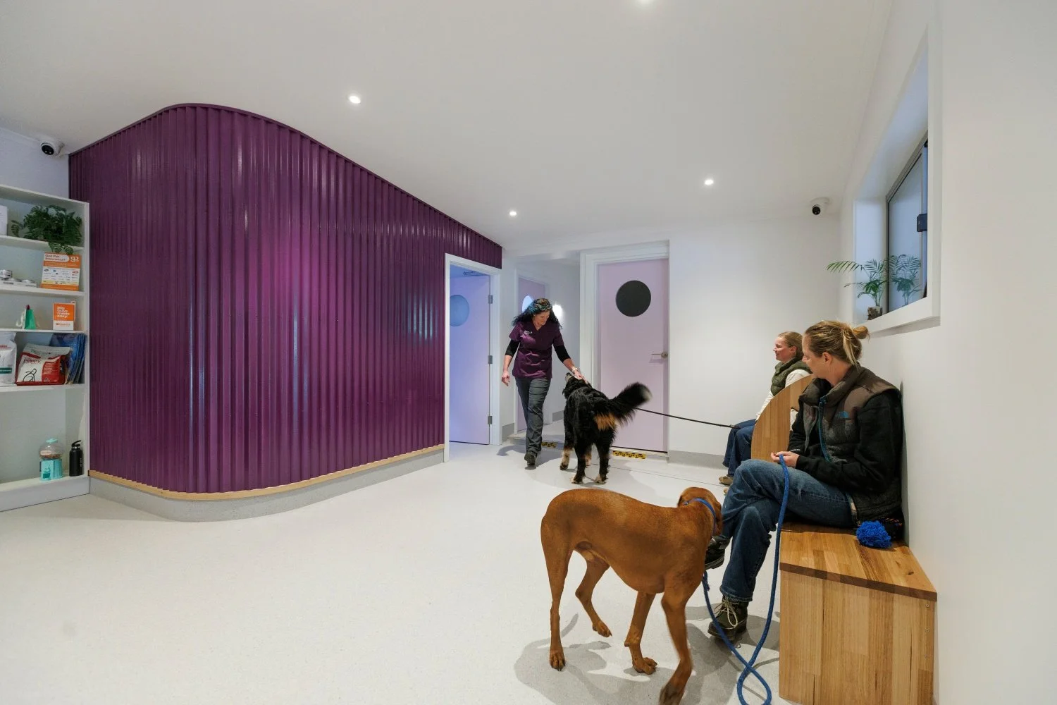 Dr Bek, of Alpine Animal Doctors, greets patients and owners in a new waiting area featuring a purple corrugated iron wall