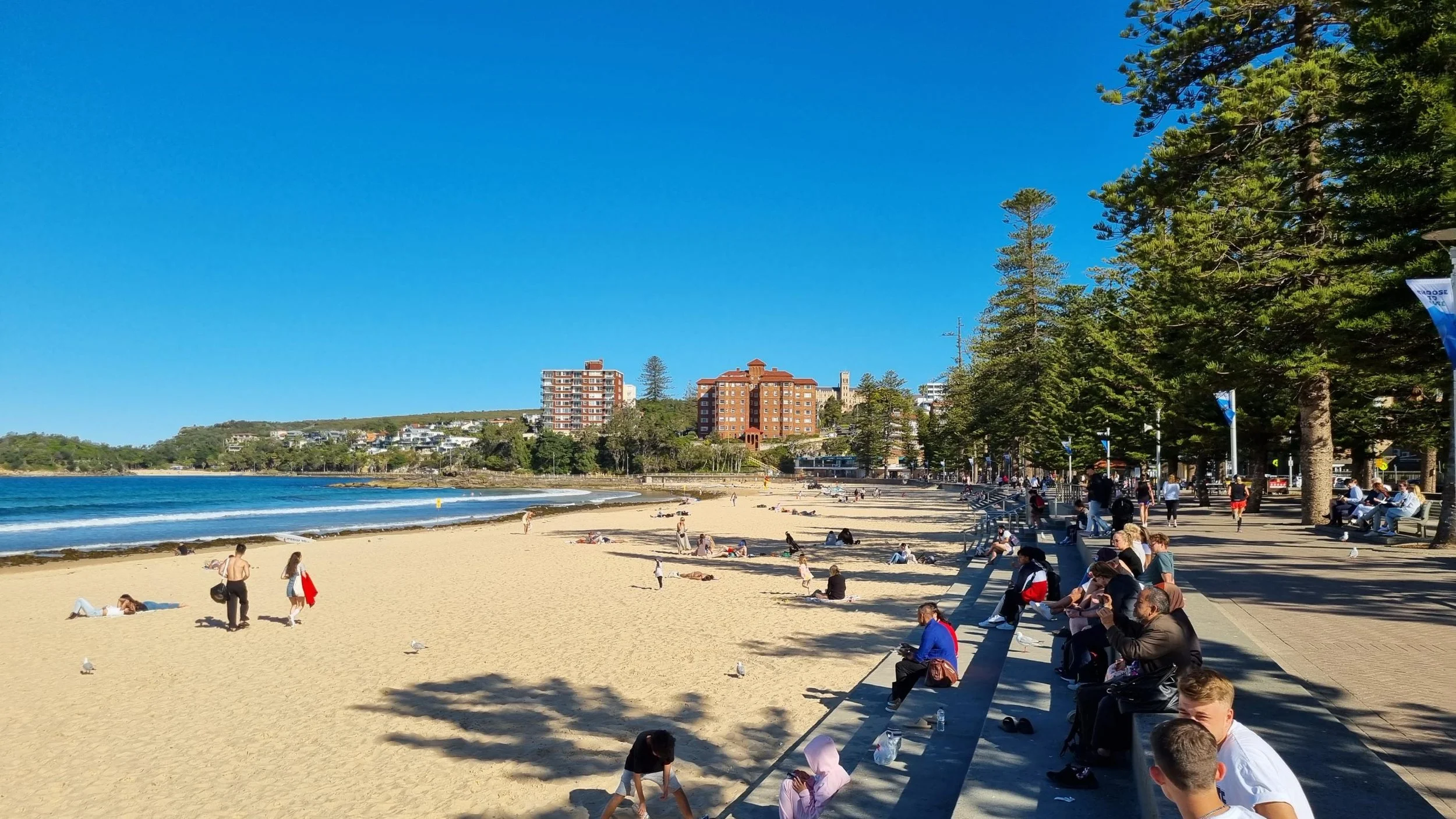 Manly and the Northern Beaches are part of the Britt White Studio story and future