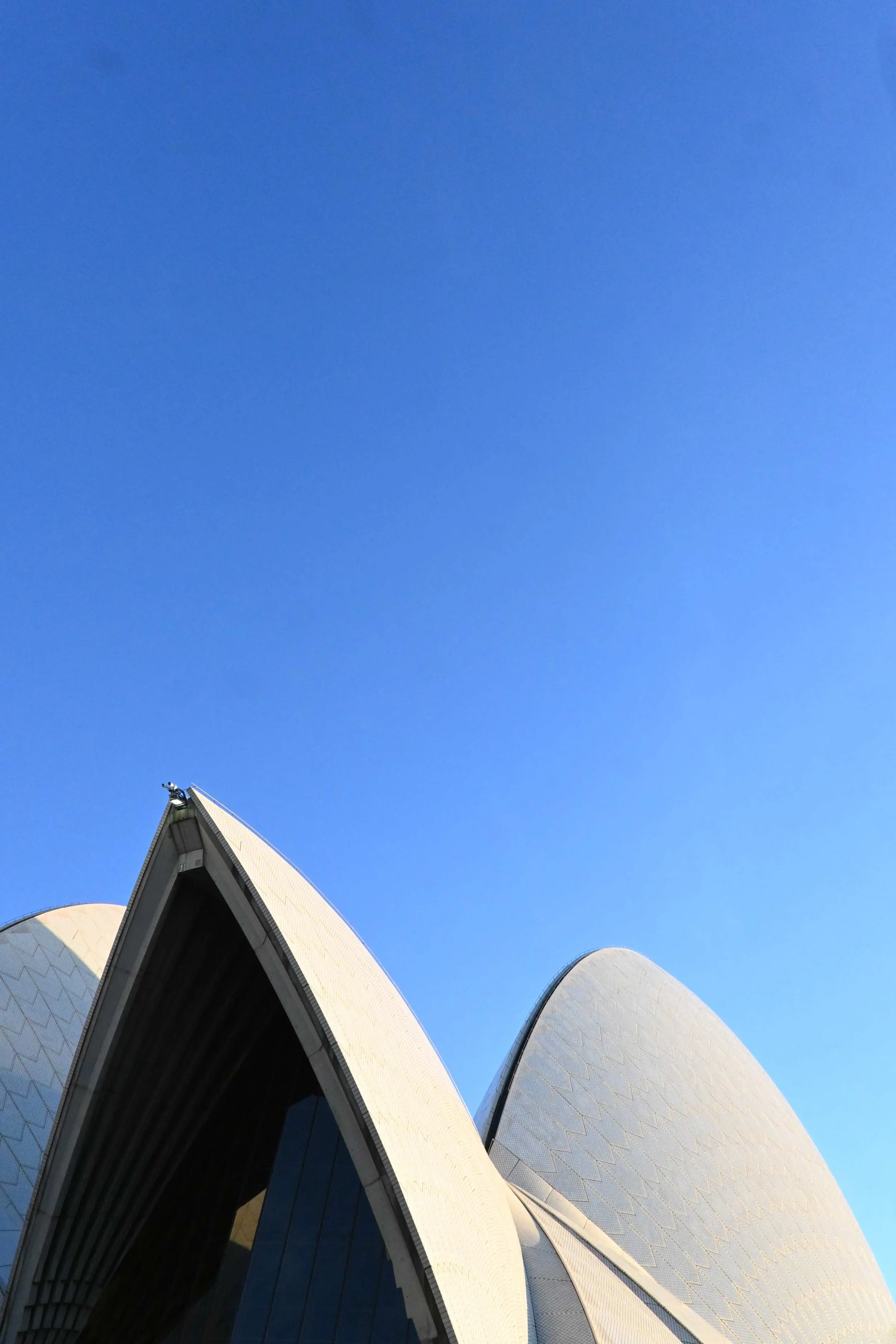 The Sydney Opera House sails against a blue sky, a true design icon