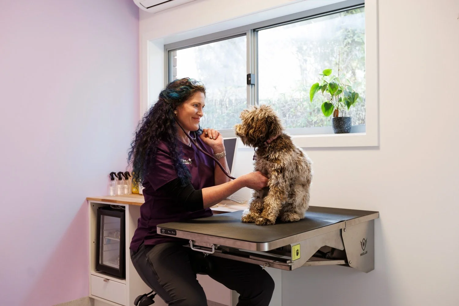 Dr Bek, of Alpine Animal Doctors, examines a cute canine patient in her new consulting room