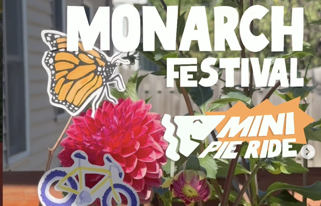 Monarch Festival (mini)