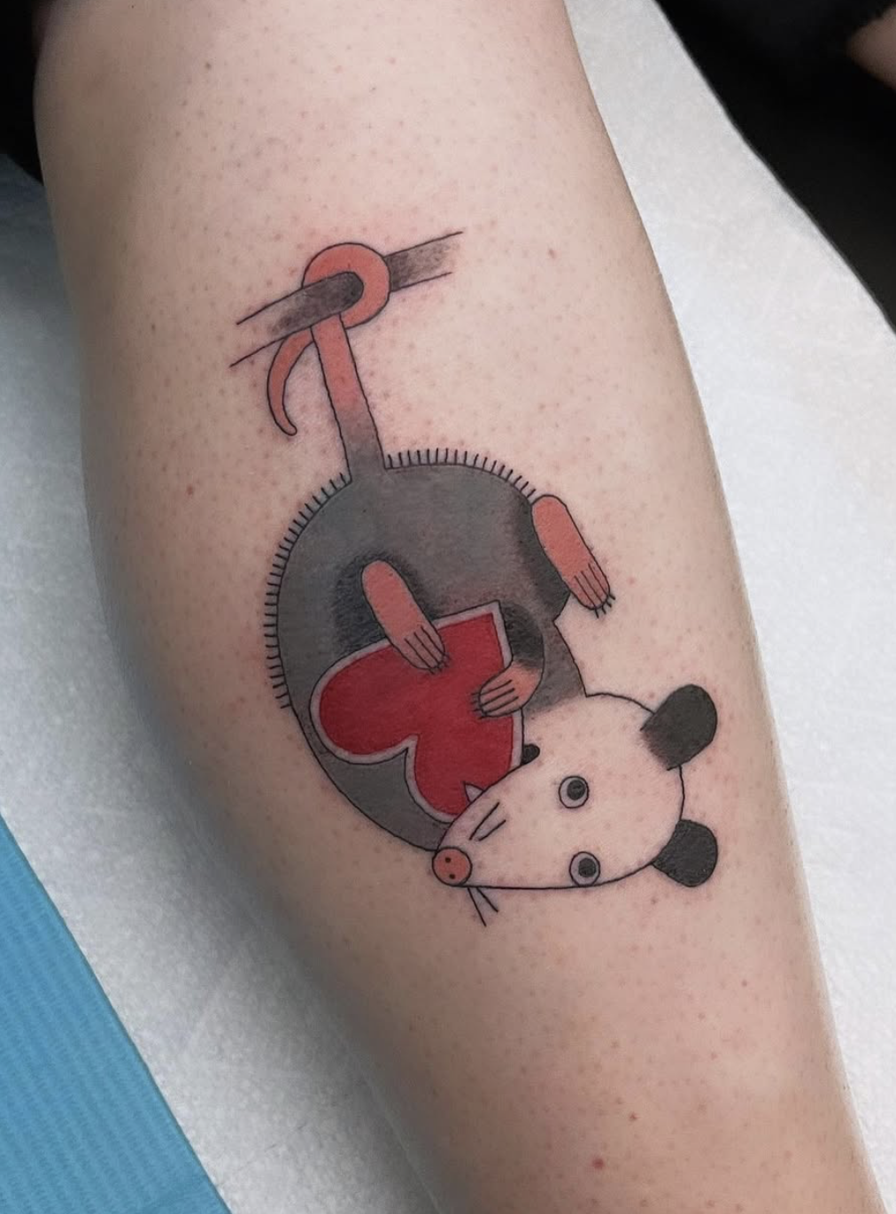 By Whitney Stephens
