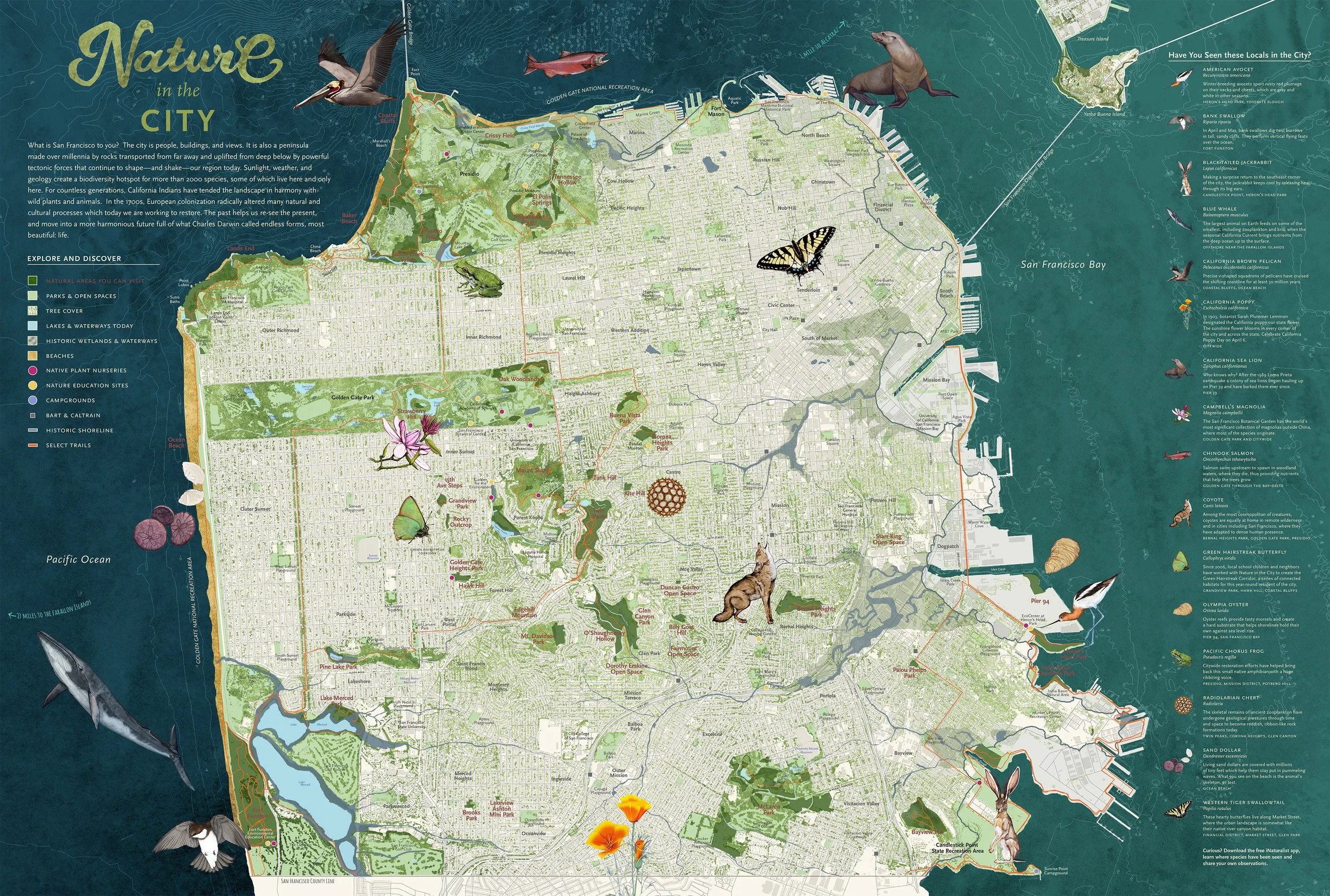 arielwang_natureinthecitymap_1.jpg