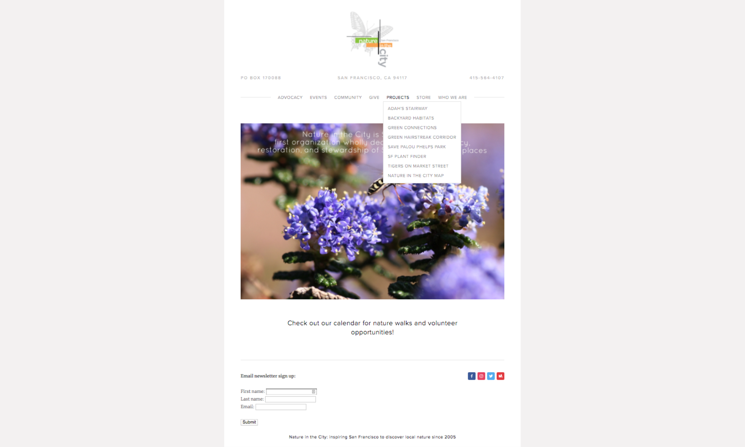   Before  : Nature in the City's original website.