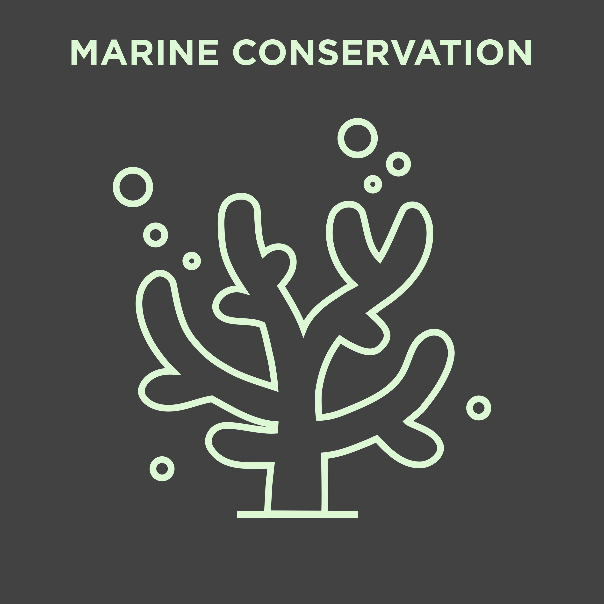 Ocean Nexus Dark Background Ocean Equity Learning Forum Research Theme Marine Conservation 6 of 9.png
