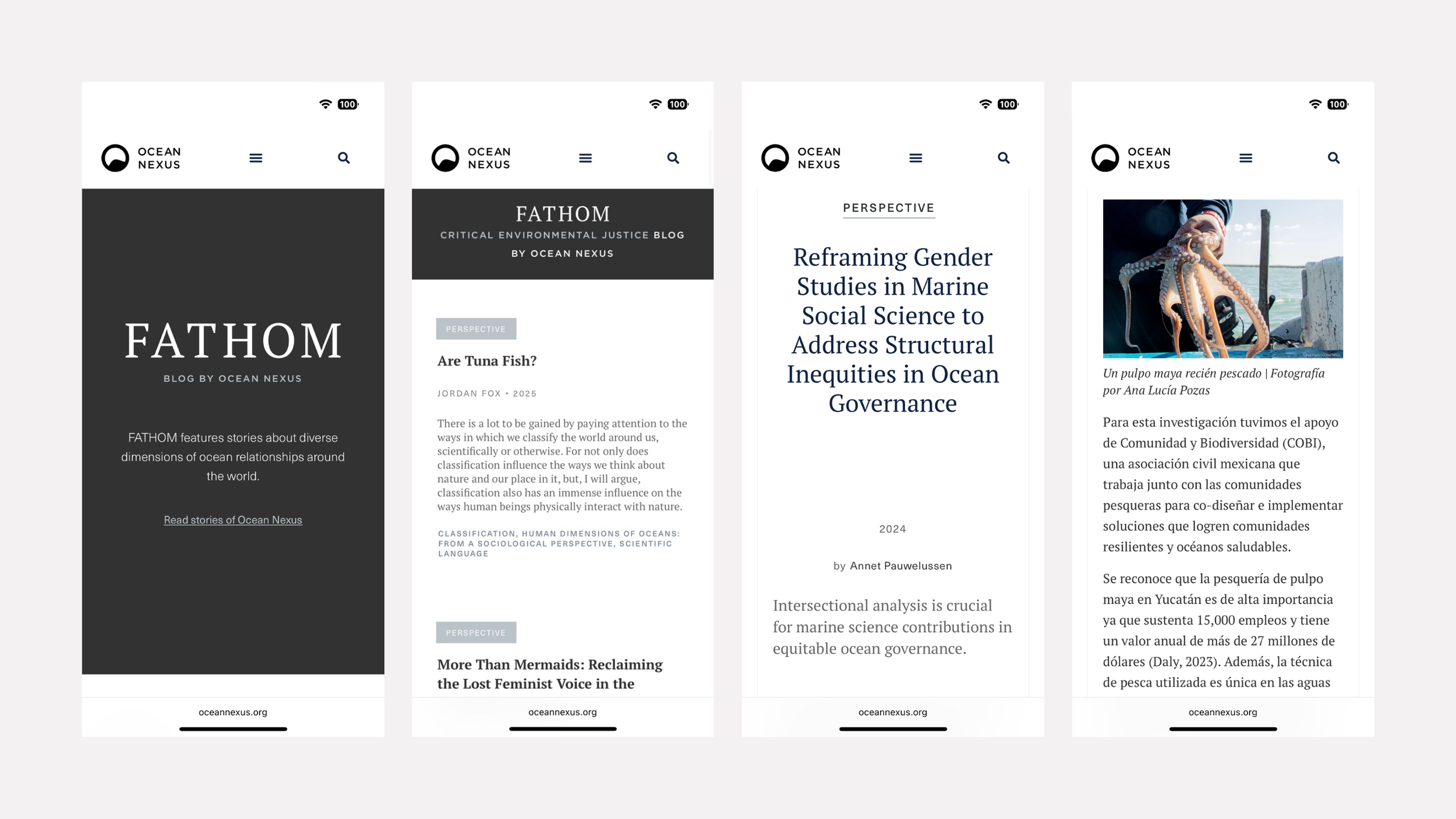 I cleverly branded the institutional blog as FATHOM, which means both 'measure the depth of water' and 'to understand.' The blog serves as a platform for researchers to share short form writing.
Strategy: Ariel Wang.