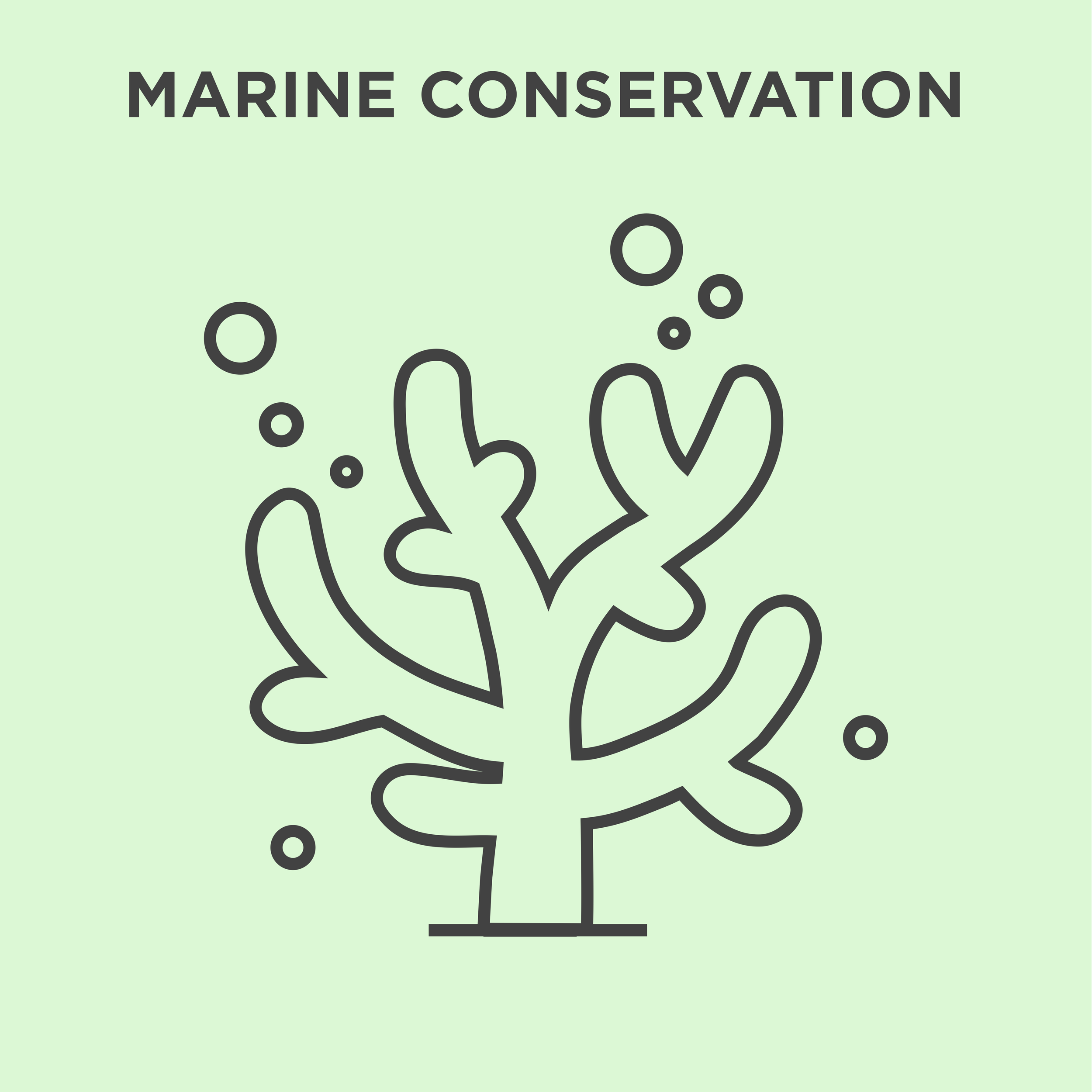 Ocean Nexus Ocean Equity Learning Forum Research Theme Marine Conservation 6 of 9.png