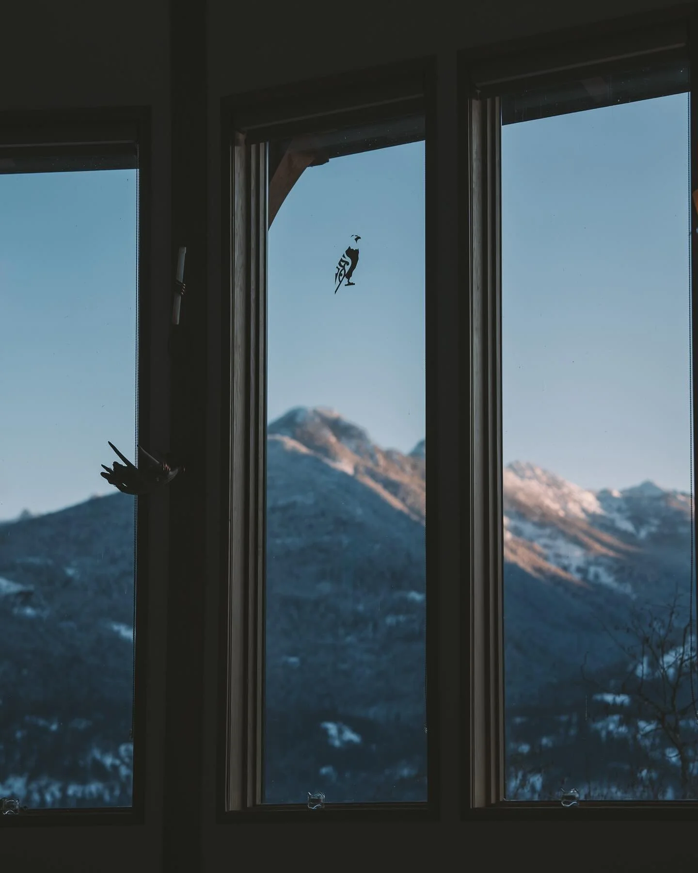 A glimpse into our Cocooning Inward Retreat.

A sacred space to journey deep into our shadows and embrace any hidden layers, so we could emerge as fully integrated wholes.