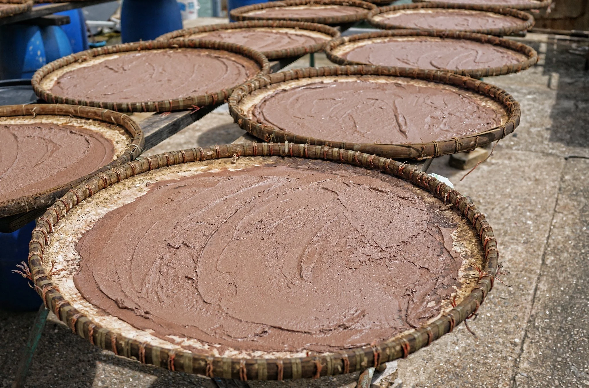 Tai O Shrimp Paste Blog (1).jpg
