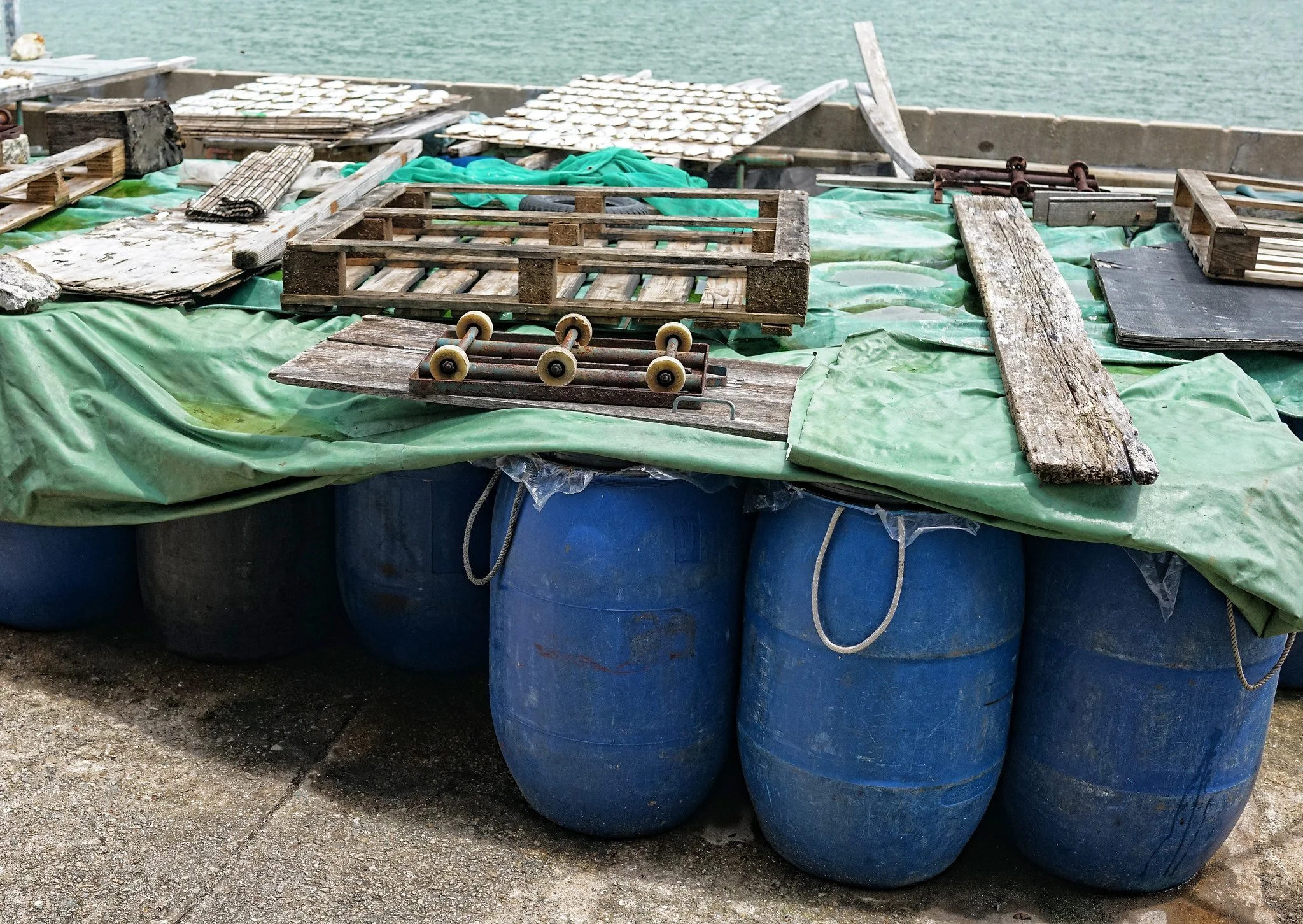 Tai O Shrimp Paste Blog (7).jpg