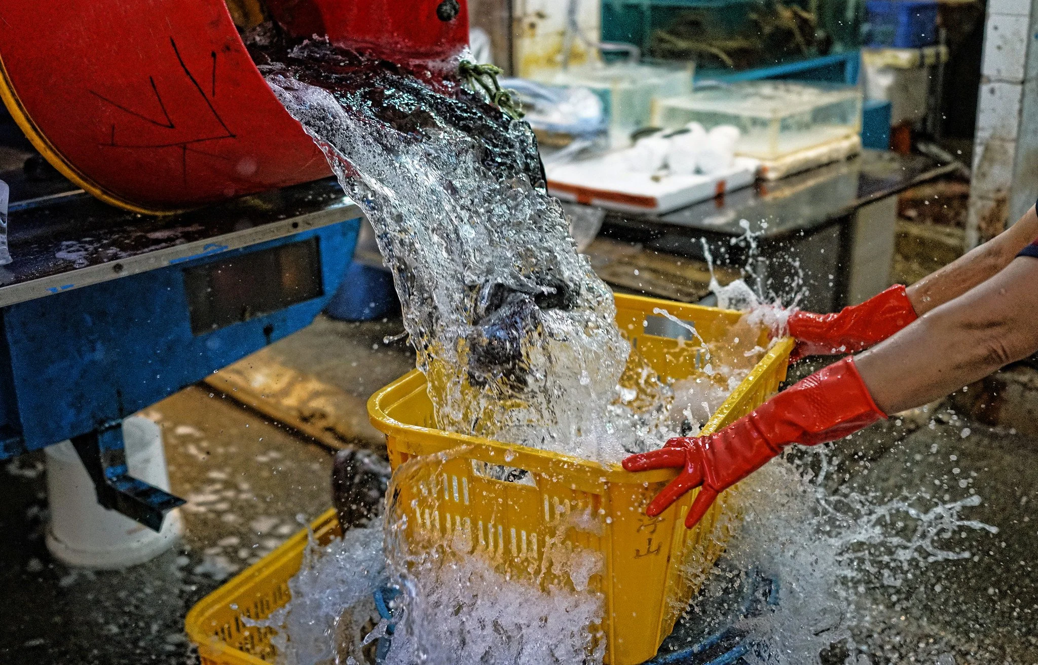 Wan Chai Markets, The Blue House - How To Get To Guide