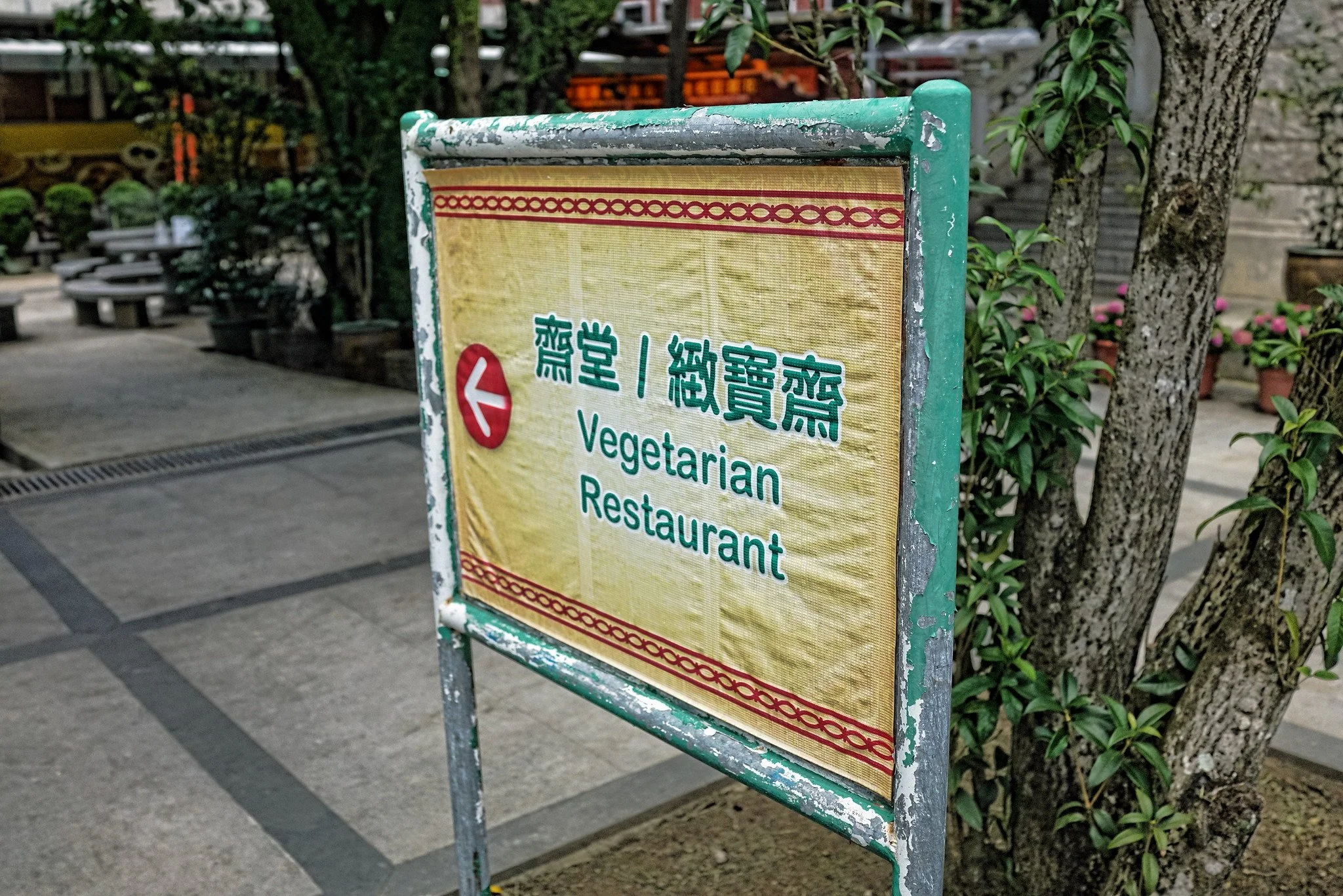 The Top Vegan Dim Sum Restaurants in Hong Kong 2026