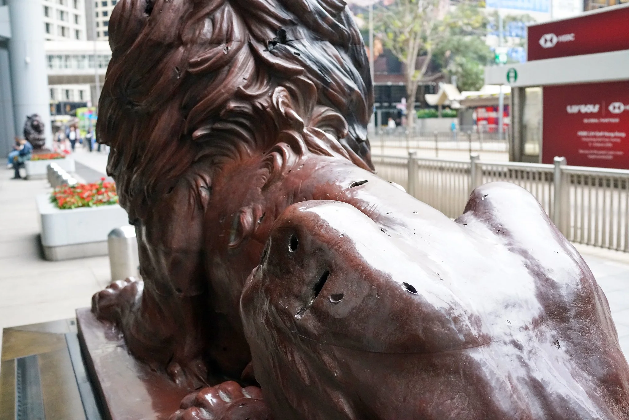 10 things you didn’t know about the HSBC Lions Hong Kong