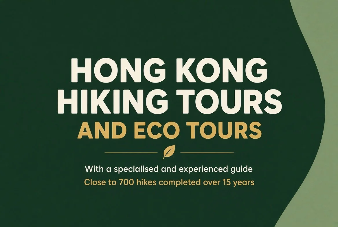 Hiking Tours and Eco Tours Hong Kong 2027