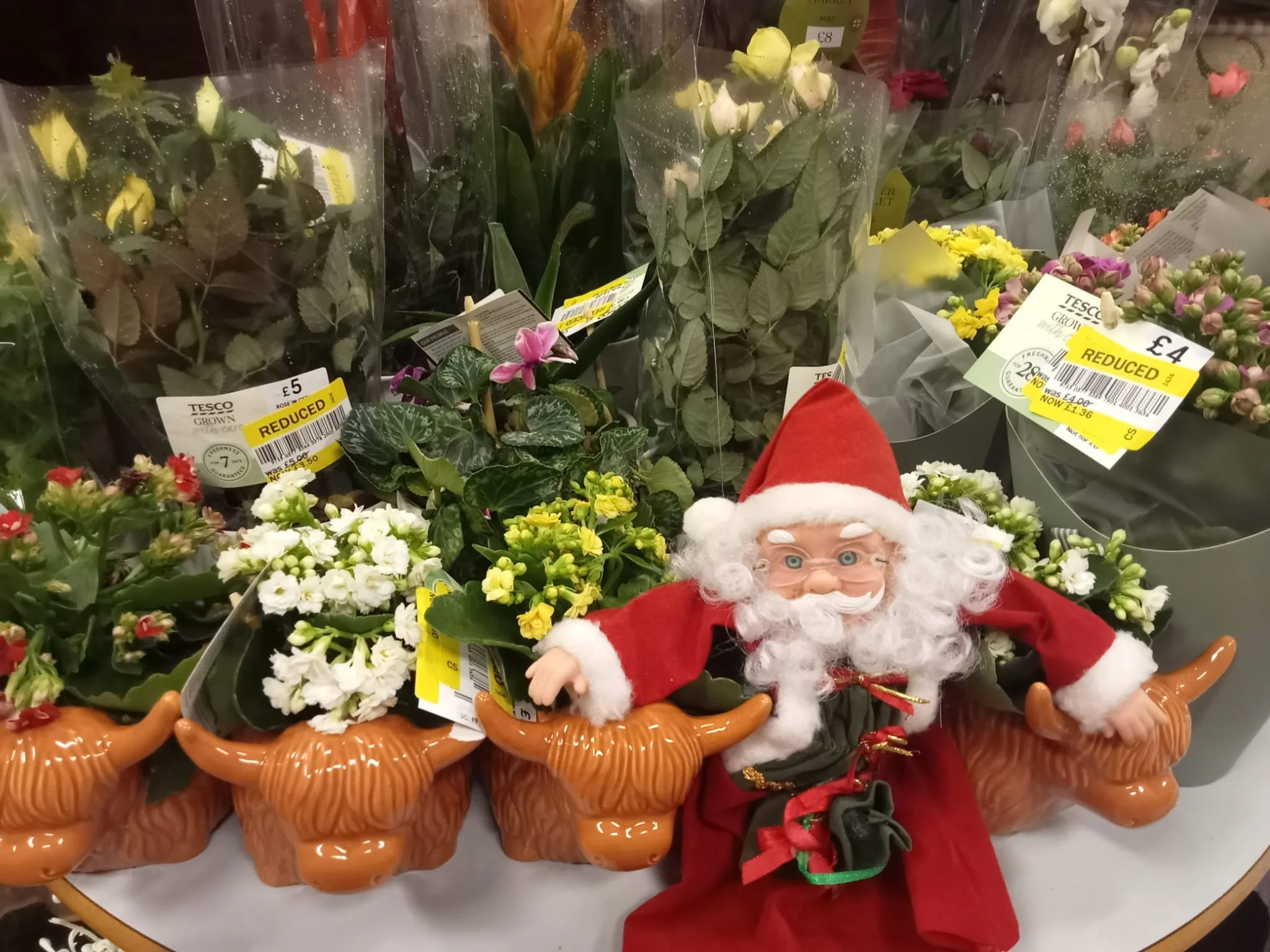 🥦 The Community Fridge is open today, stocked and ready to distribute! 💚

Today we have:
Plants, bread, pastries, lettuce, cucumbers, and lots more!

Visitors between 1st and 19th December will also receive a free ticket to enter our Christmas Hamp