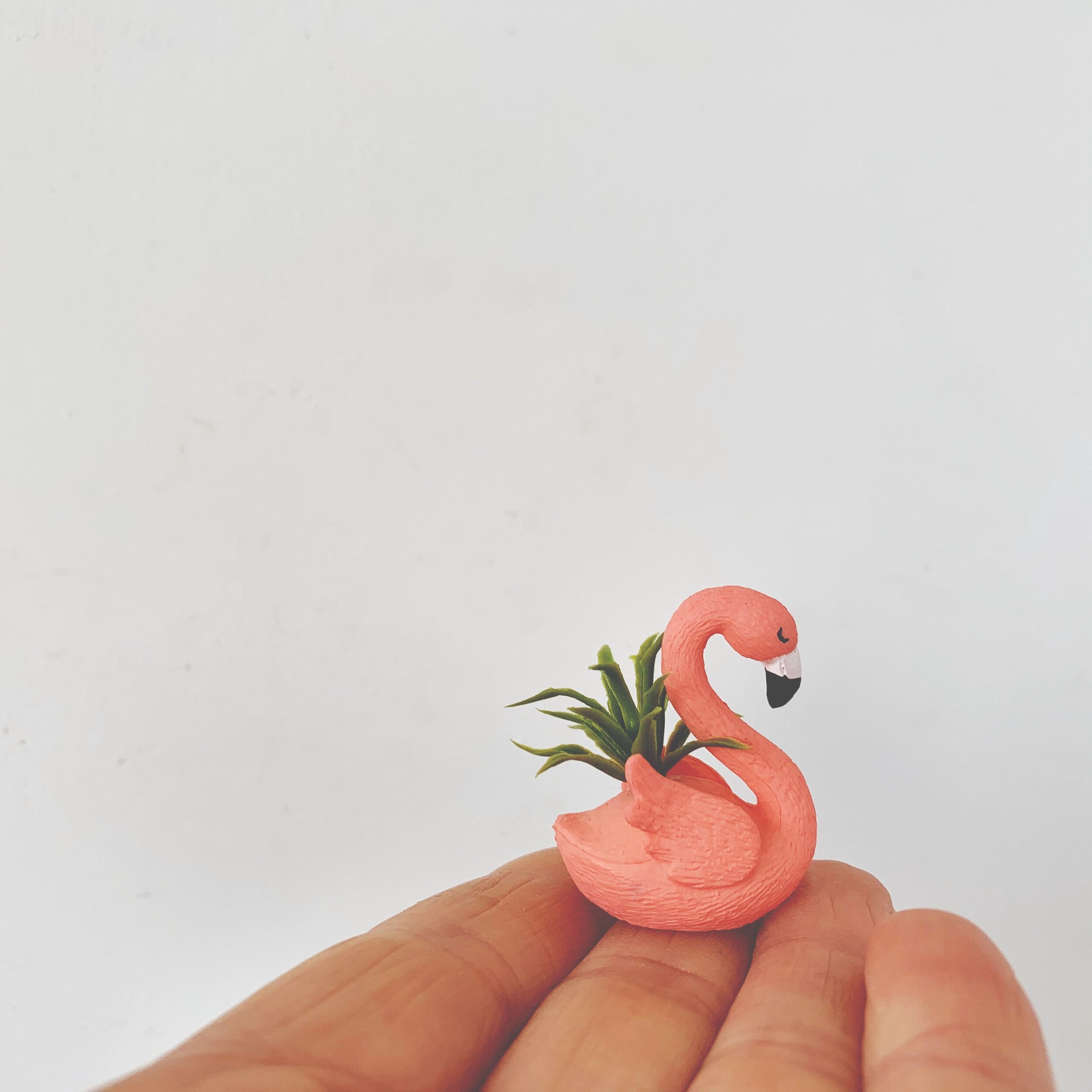 https://i.etsystatic.com/7336872/r/il/631a99/2460936456/il_fullxfull.2460936456_fdh6.jpg