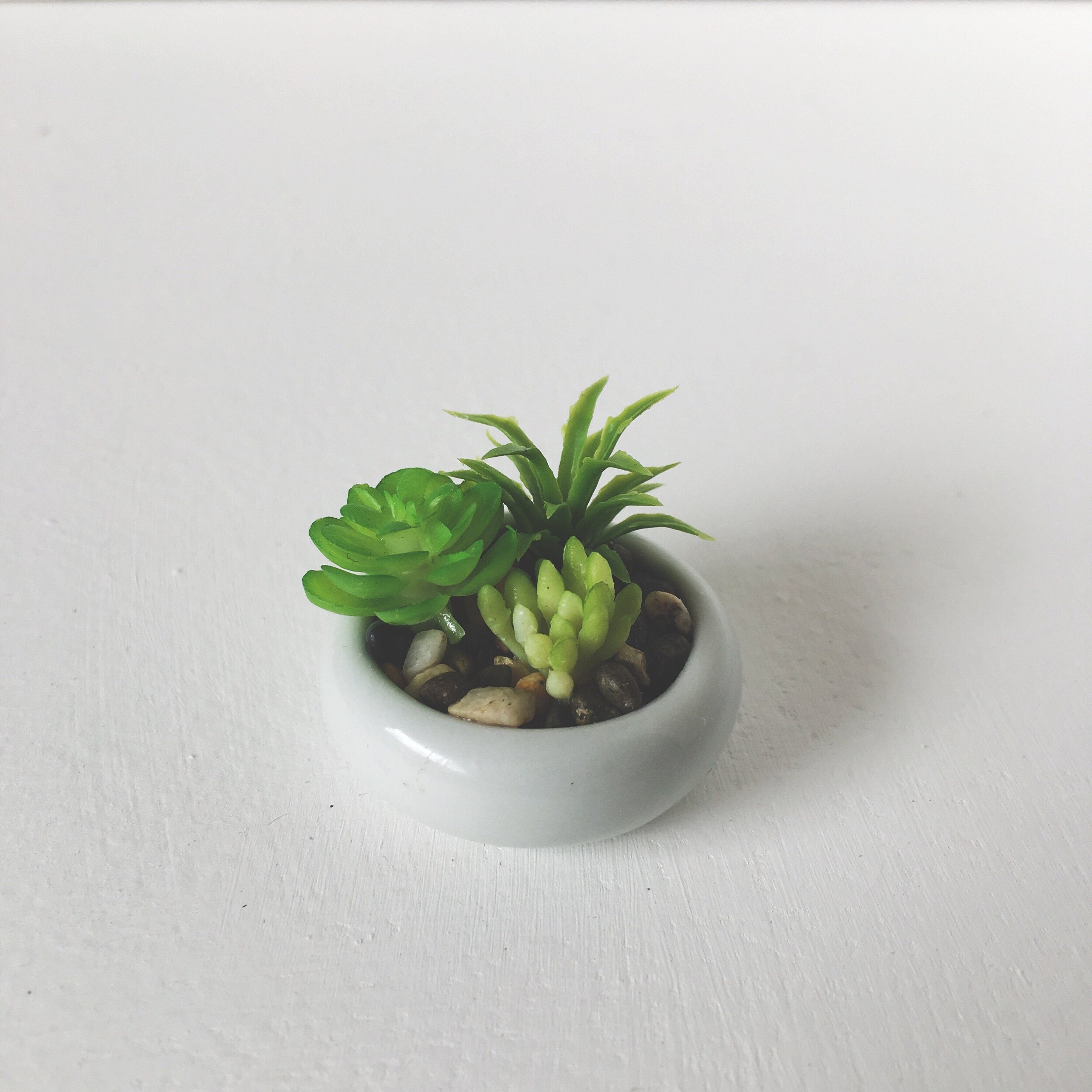 https://i.etsystatic.com/7336872/r/il/d3672c/1821206862/il_fullxfull.1821206862_akfu.jpg