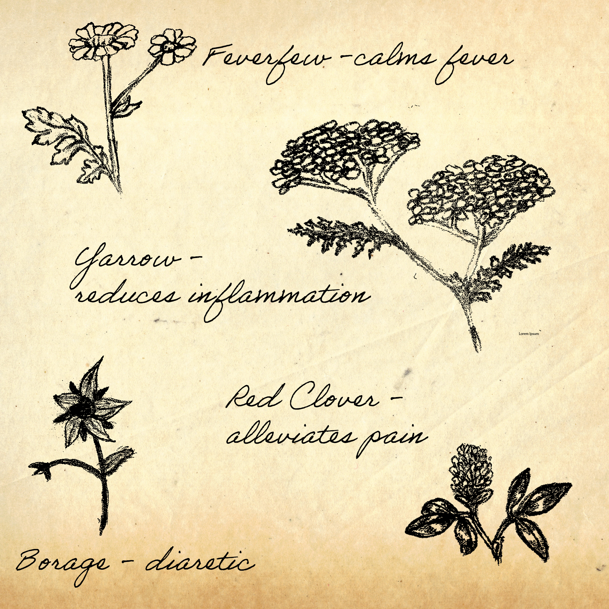 epilogue_flowers.png