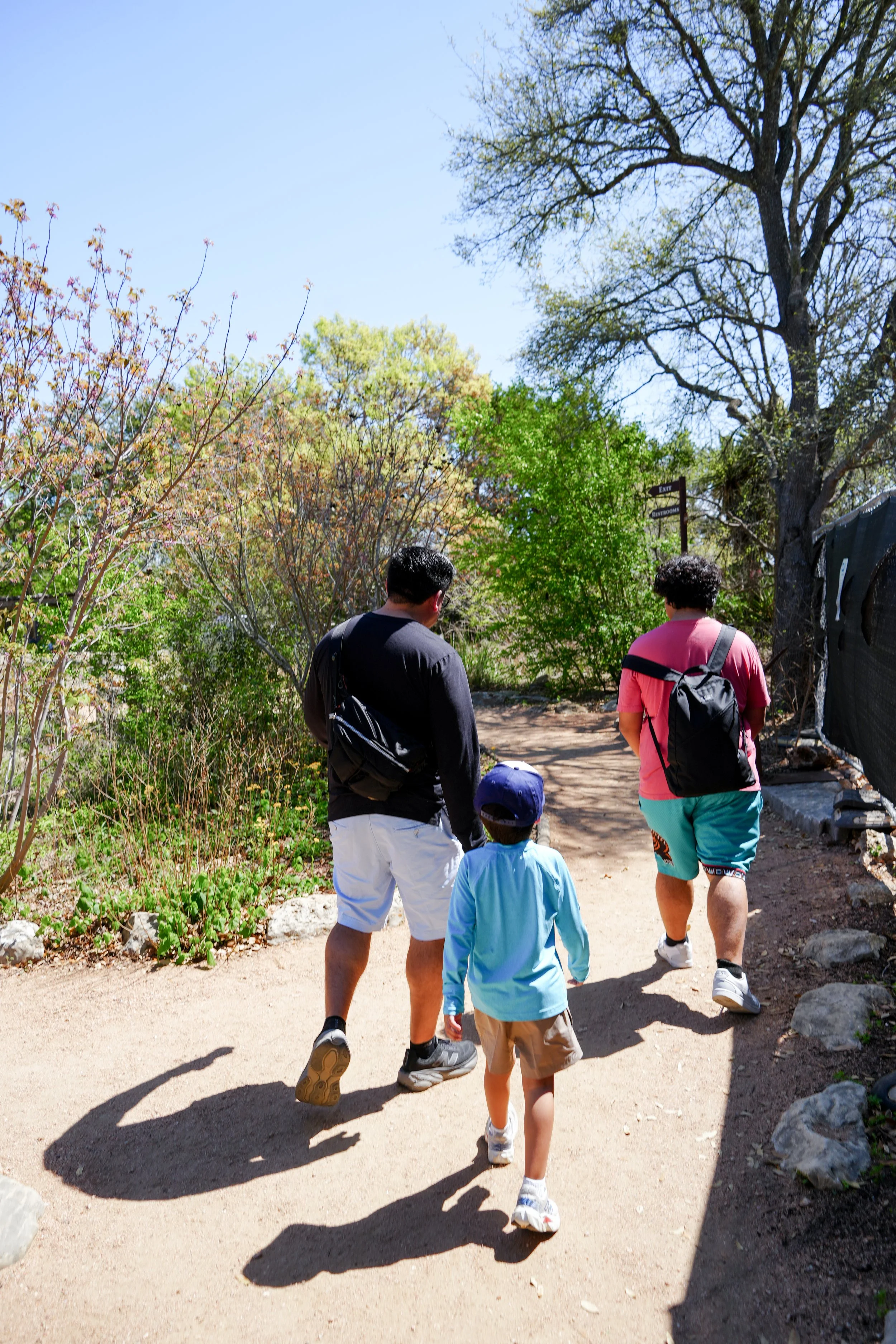 lady bird wildflower info.JPG