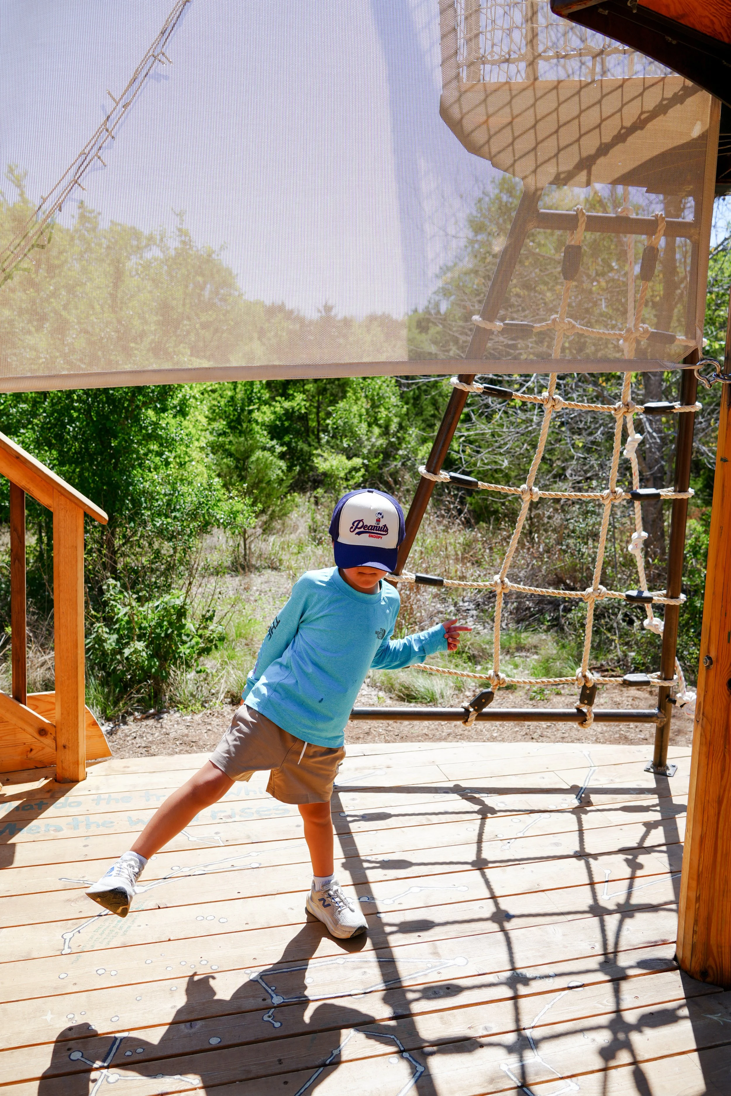 lady bird wildflower activities.JPG