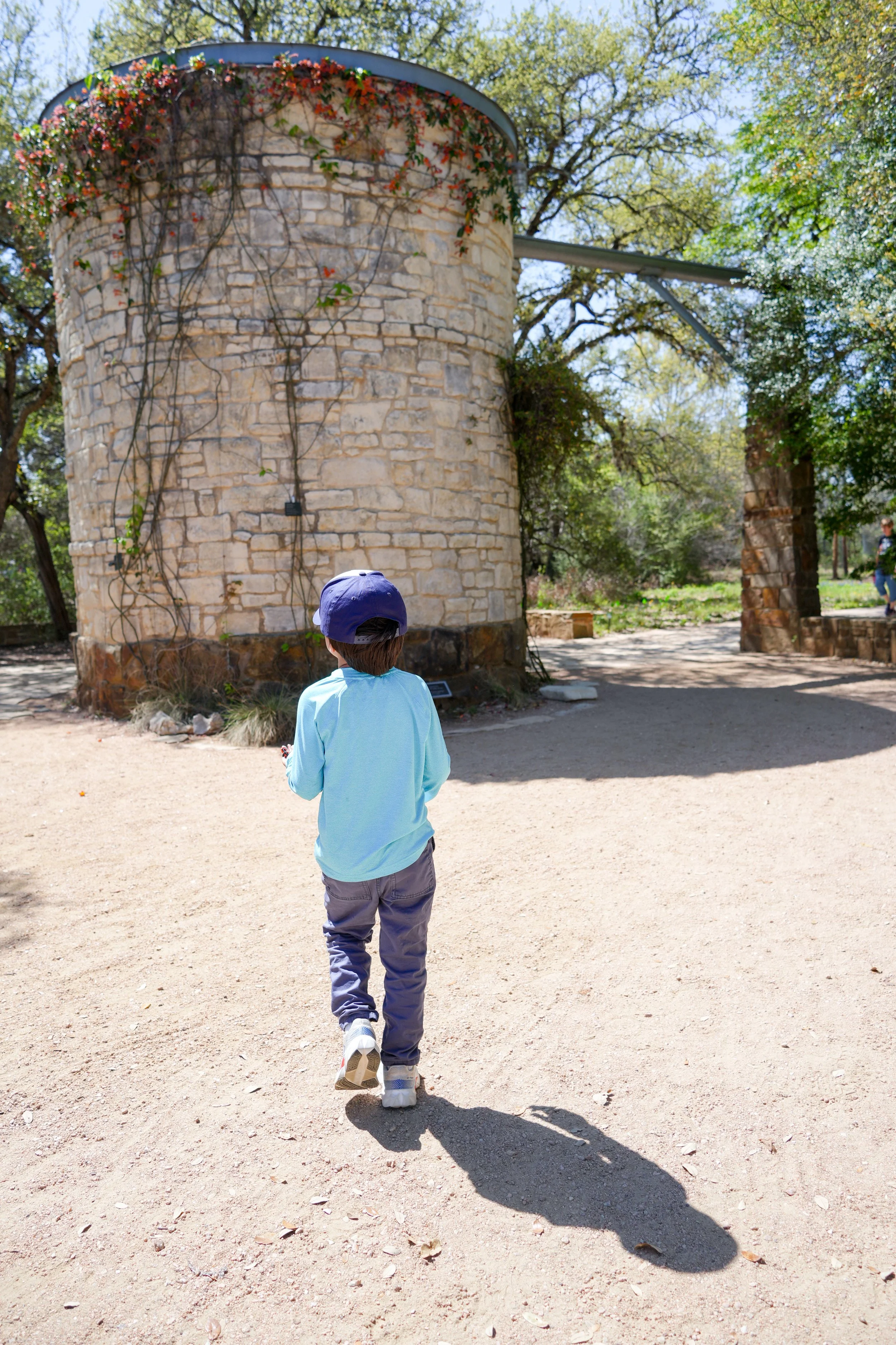 lady bird wildflower.JPG