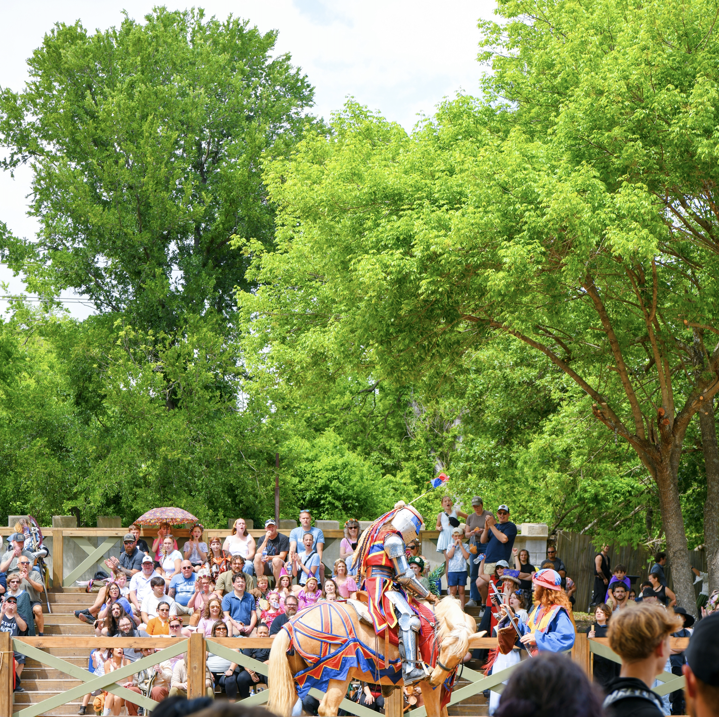 Scarborough Renaissance Festival  show horses.png