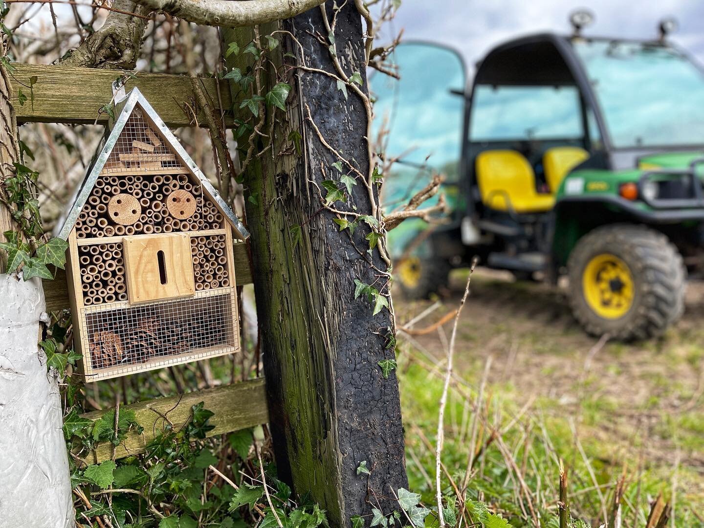 Vi was keen to put another insect hotel up on the farm, with a bit of help from Grandpa.

🐝🪲🐜🐞 

⁣#biodiversity #nature #wearewelshfarming #backbritishfarming #supportlocal #llannantfarm
.⁣
.⁣
.⁣
.⁣
.⁣
#biodiversityday #climatechange #conservatio