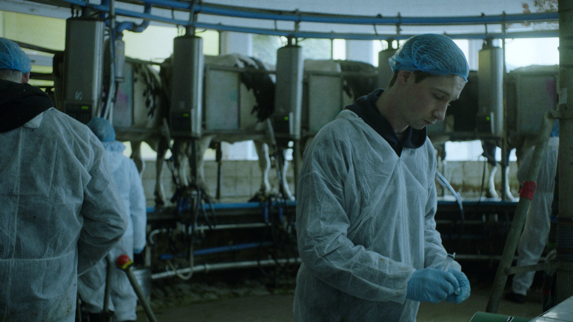 Headfish | Samogłów