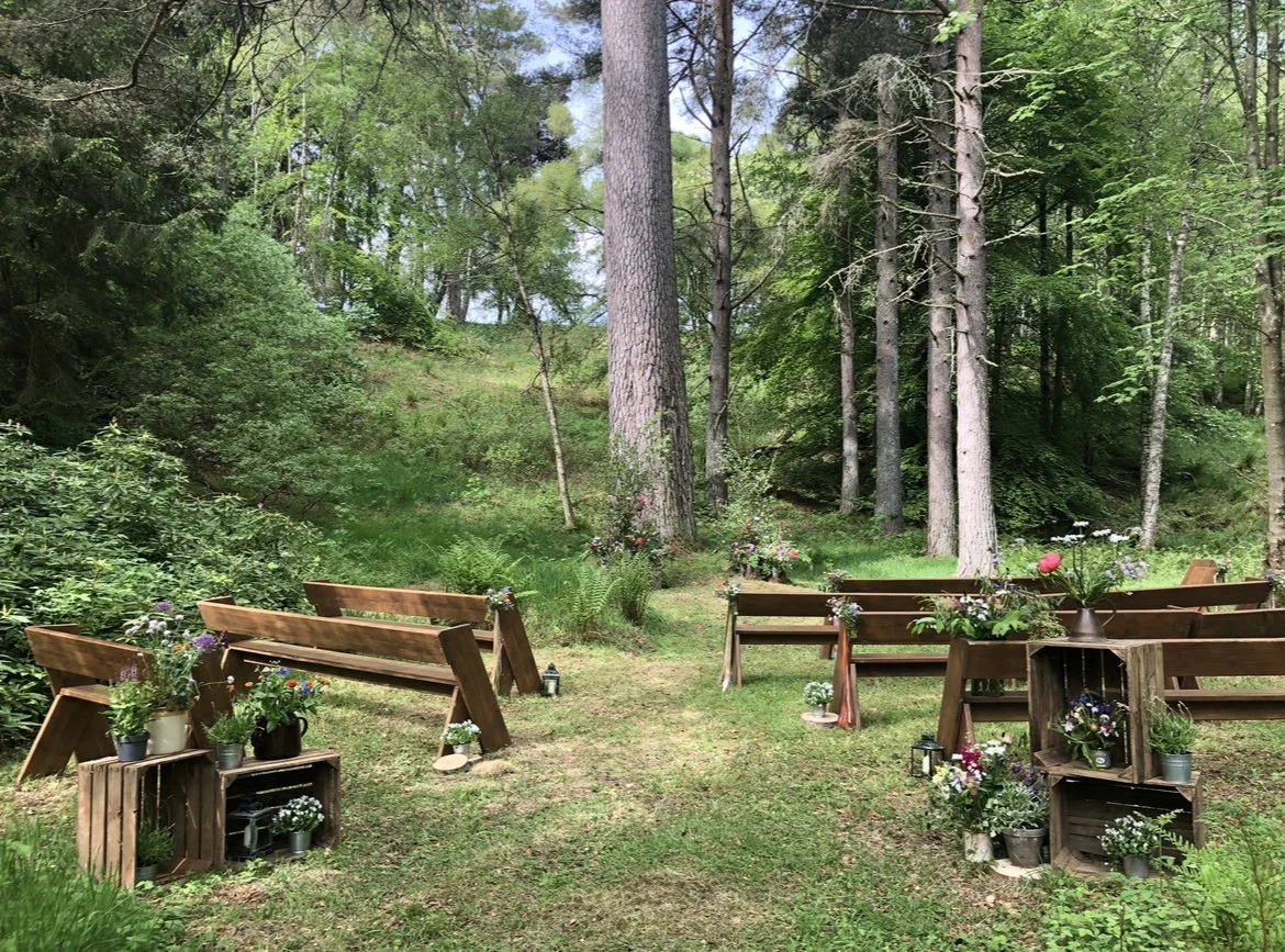 Ballogie House queen of firs_Ballogie House website.jpeg