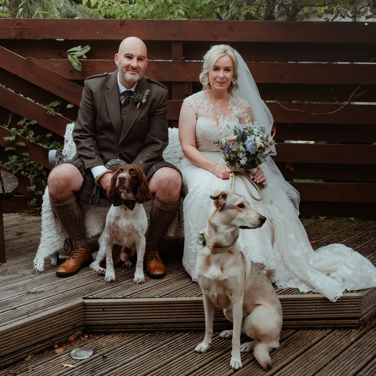 Waggy Weddings!

If you can't imagine your wedding day without your furry friend we're more than delighted to help you include them in all aspects of your celebrations. We can transport them, hold them during your ceremony and your photographer will 