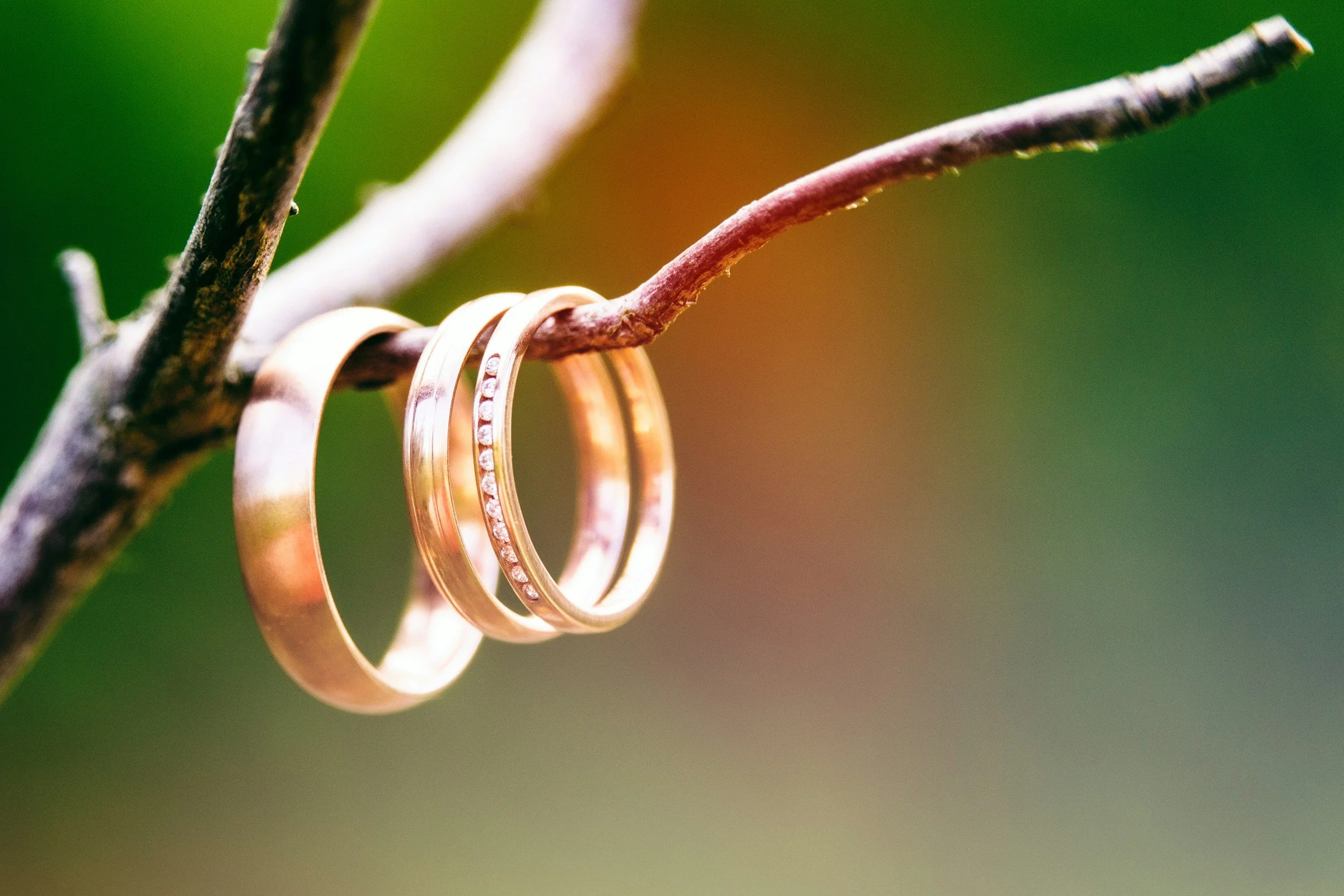 Two gold rings hanging on a tree branch, with a blurred green and orange background.
