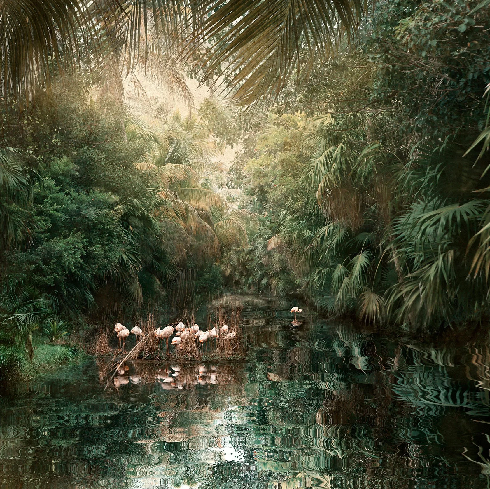 paint on giclee print of small group of flamingos feeding in water reflecting abundant green palms and sky above