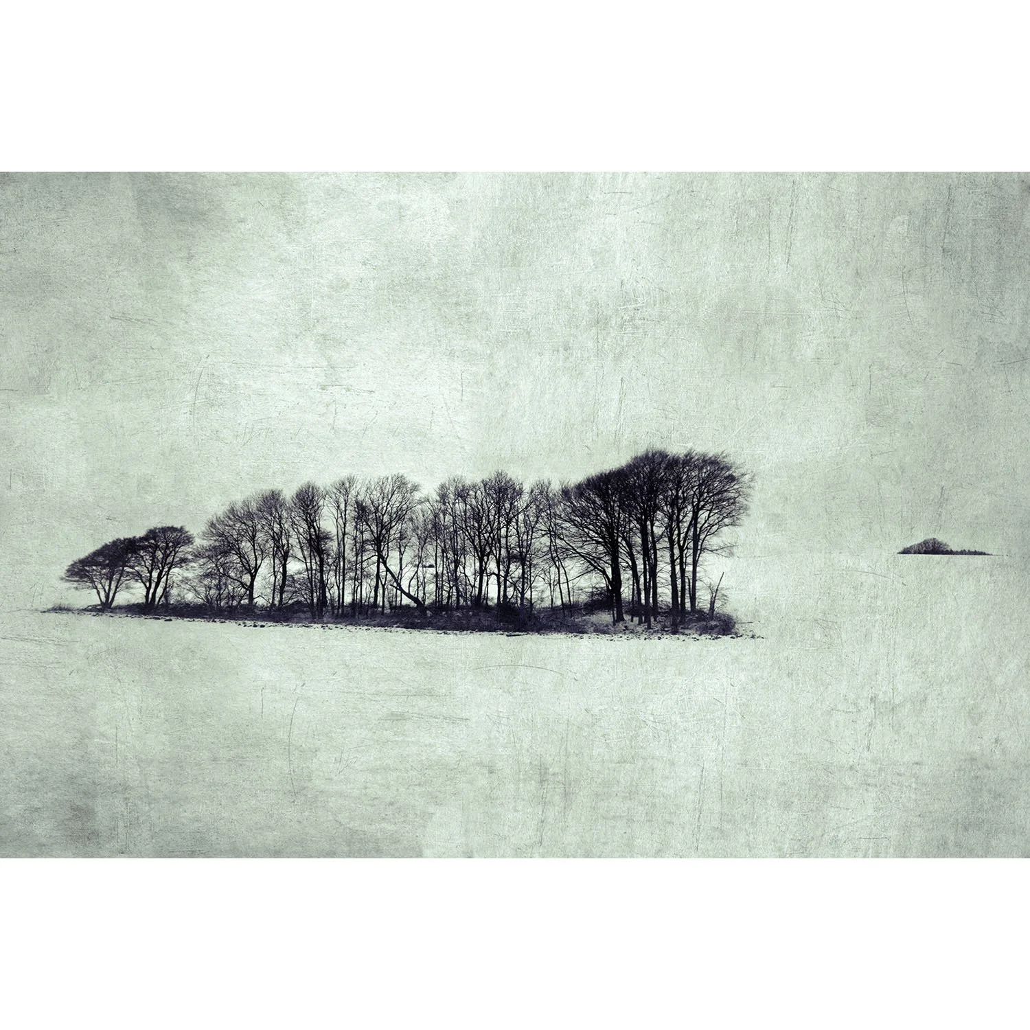 nadia attura limited edition print showing copse of winter tree silhouetted against winter landscape