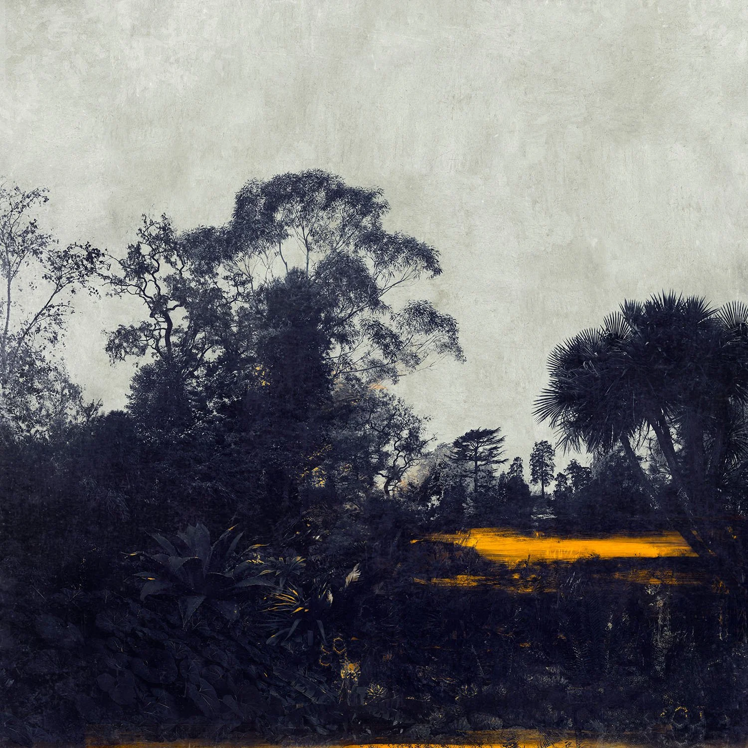 giclee print of towering full canopy trees glipse of lake through brances
