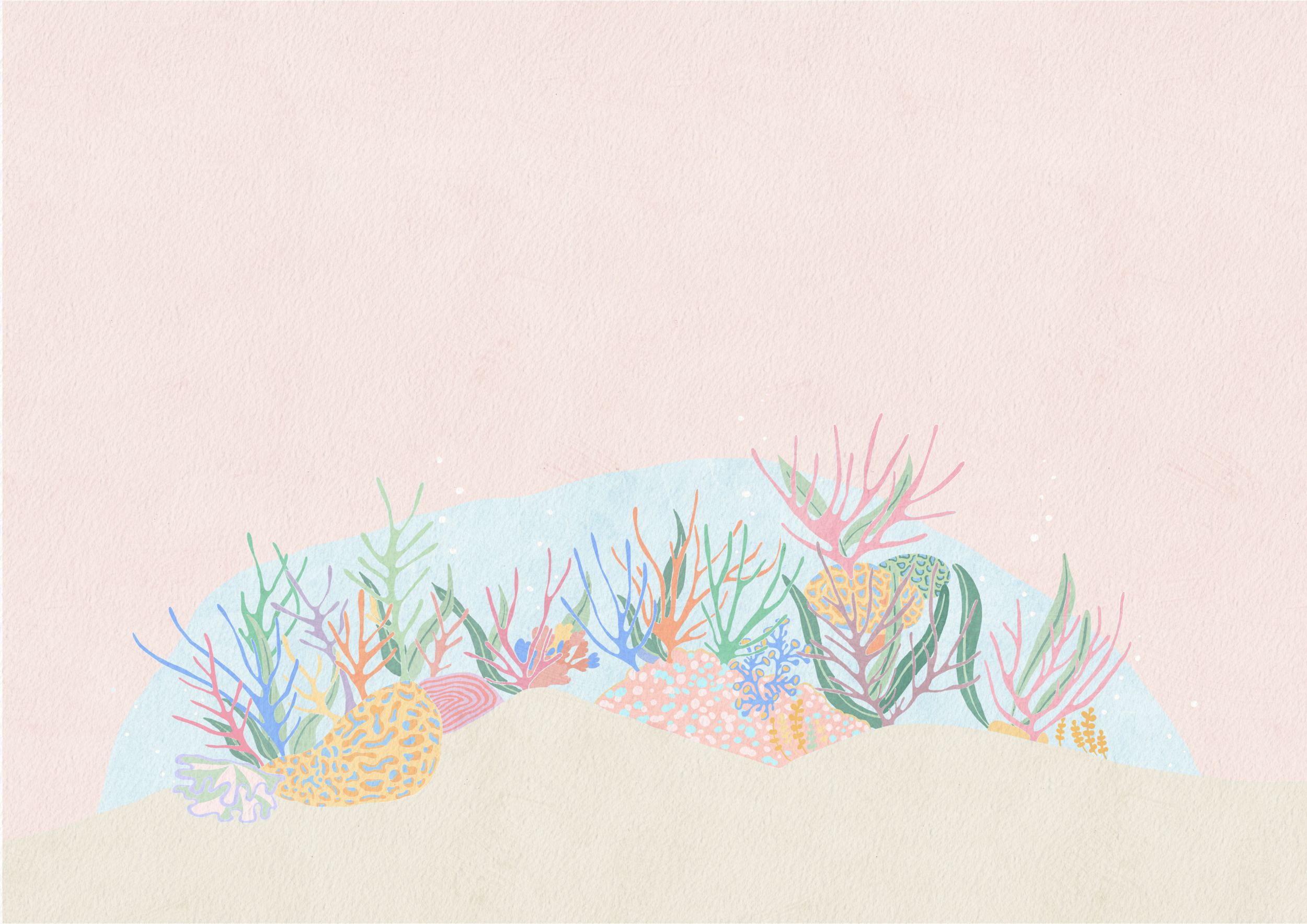 The seabed is calm and empty, there are only a few rocks covered in moss, some lone seaweed sways to the movement of the sea.