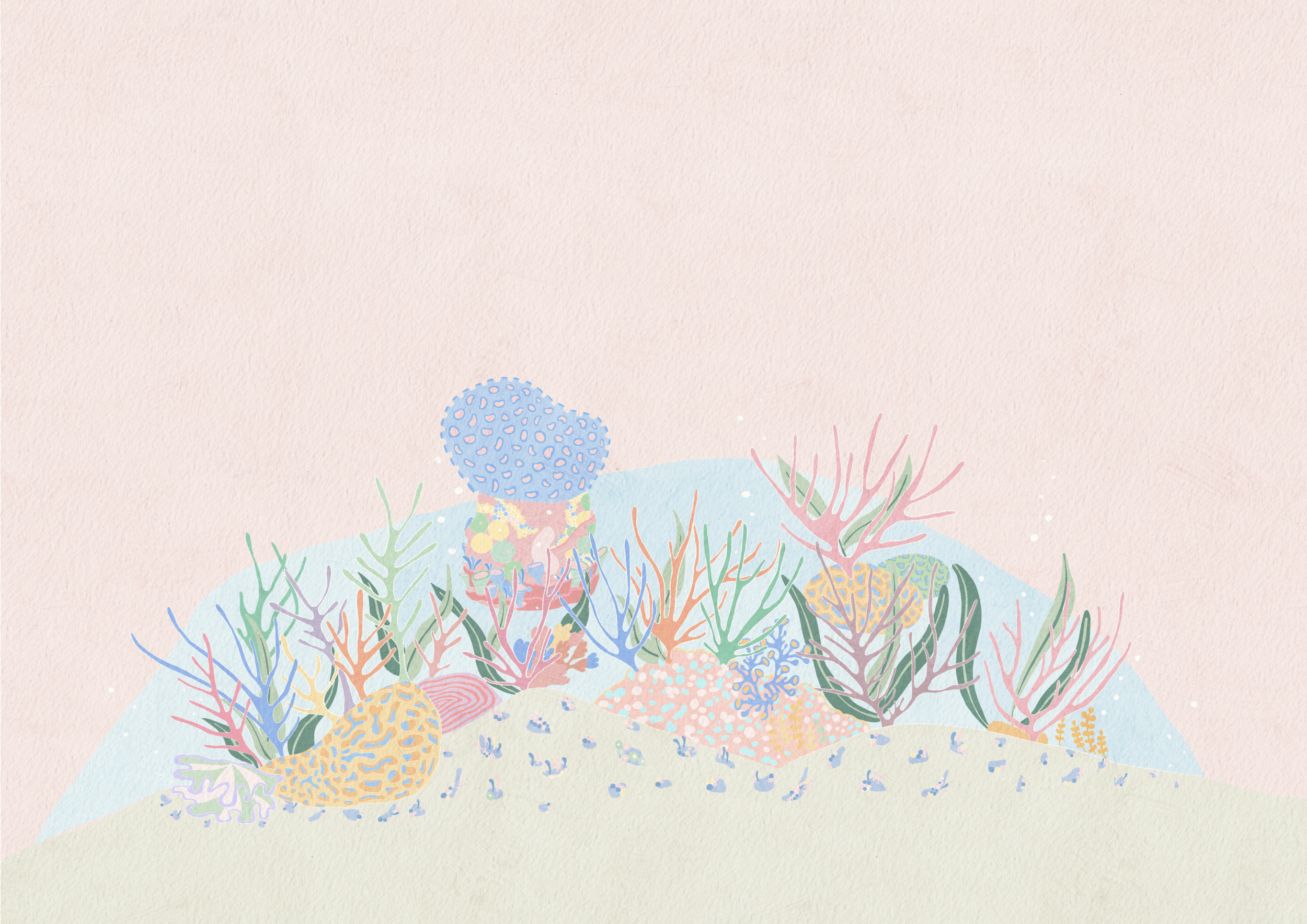 The fragments that have broken off are scattered all around the seabed, embedding themselves into the sand, falling into crevices and crashing into rocks. Some pieces drift away naturally to other parts of the ocean. However, the majority stay within the vicinity.&nbsp;