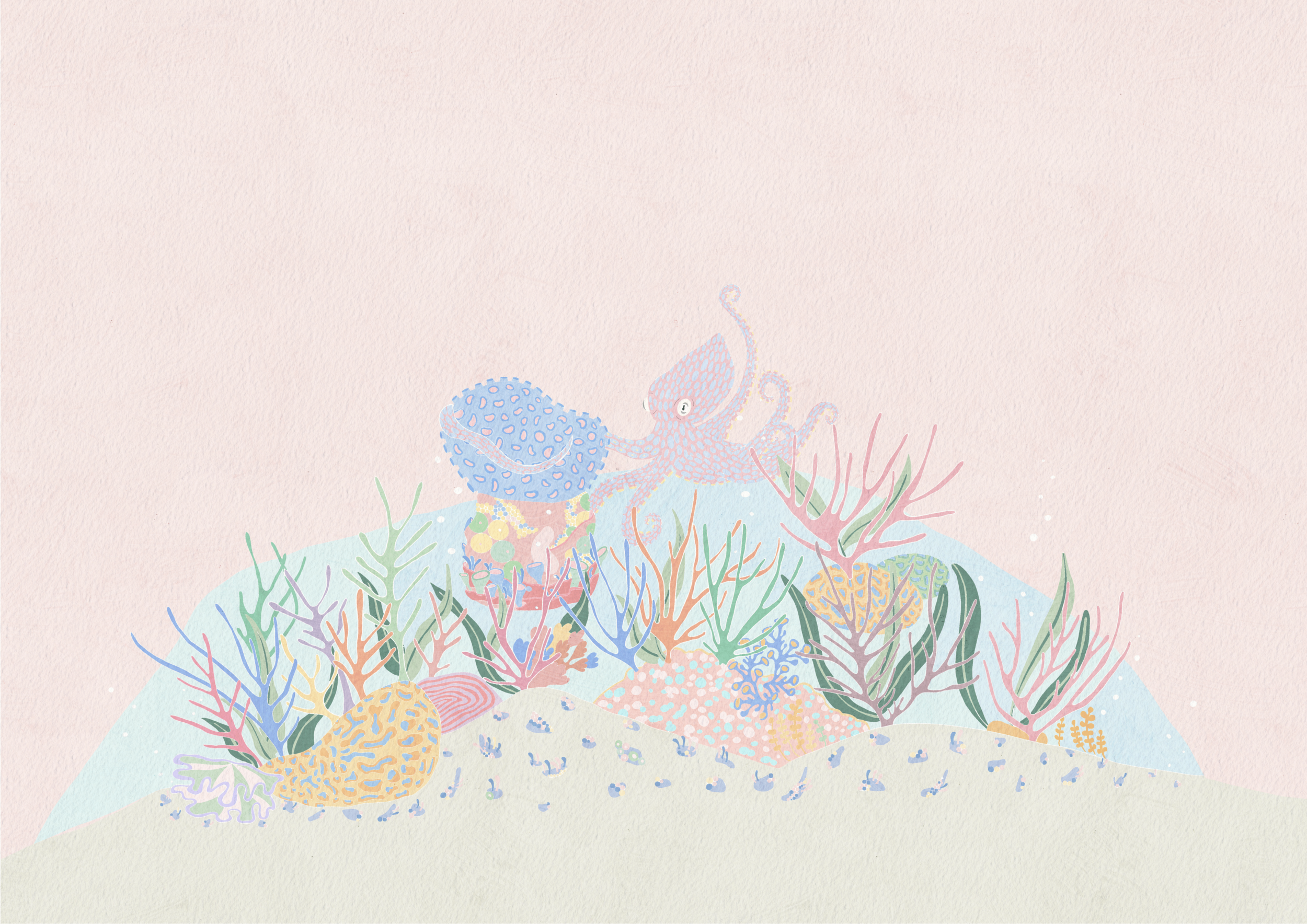 A few hours later, an octopus named Octavius approaches Phyllos and he studies the object. One tentacle slowly reaches out and grabs the soft felt that is attached to the top.