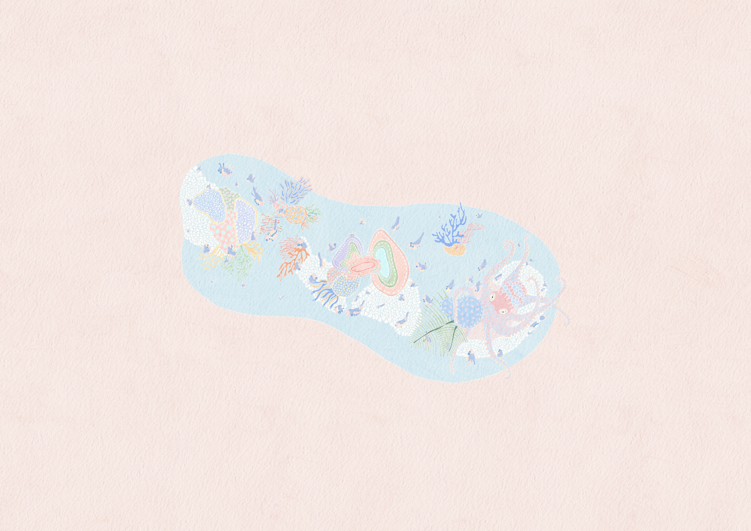 A few weeks later, the site has started to grow. The attractive colours of Phyllos have attracted the attention of more octopuses, who have adopted the site as their home. Colourful coral has also begun to emerge, enhancing the colours of the site further.