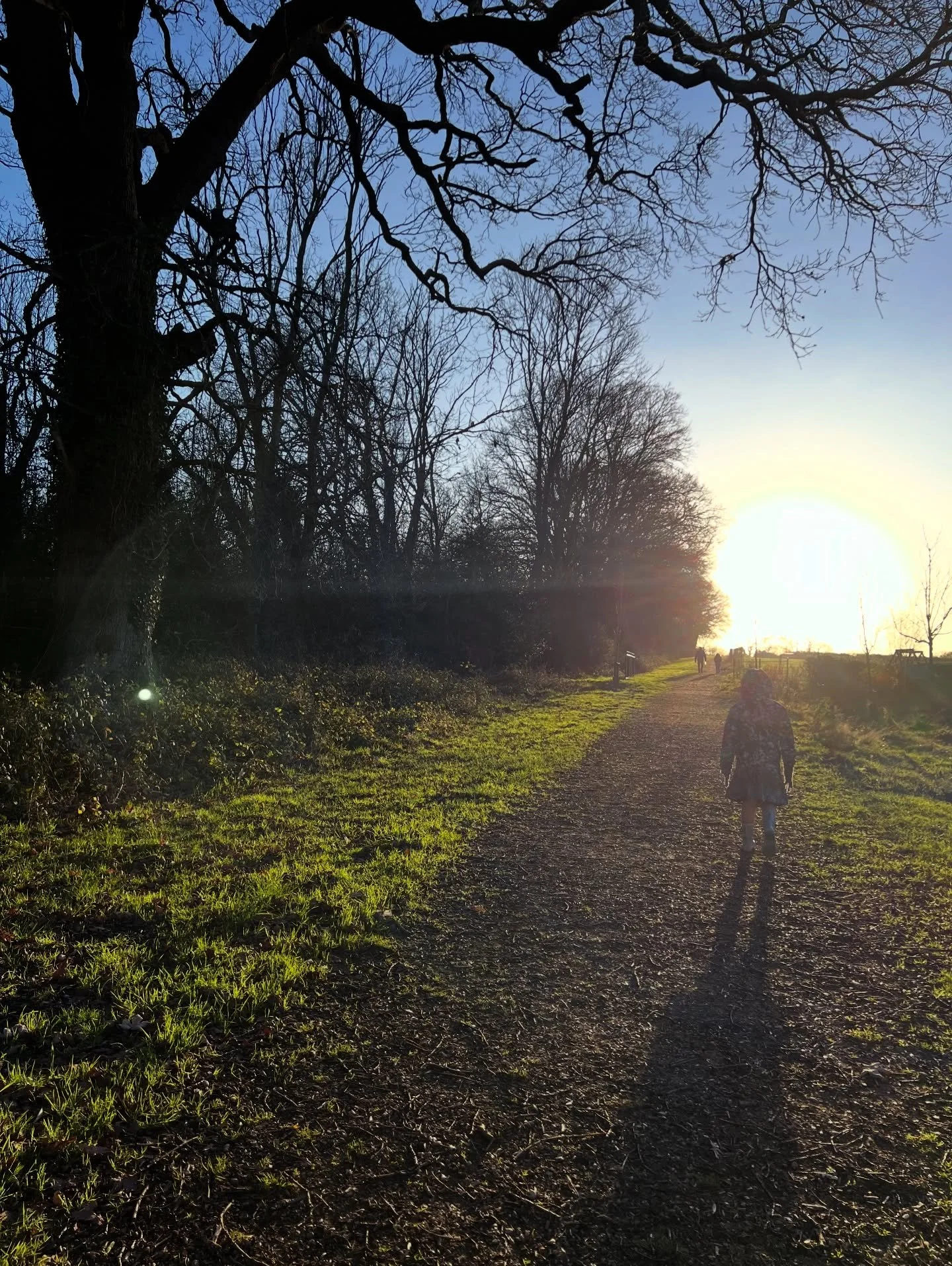 Winter walk, holding hands, occasional skipping, squinting into the bitter wind and low sun 
#bitterwind #winterwalk #lowsun #longshadows #familywalk