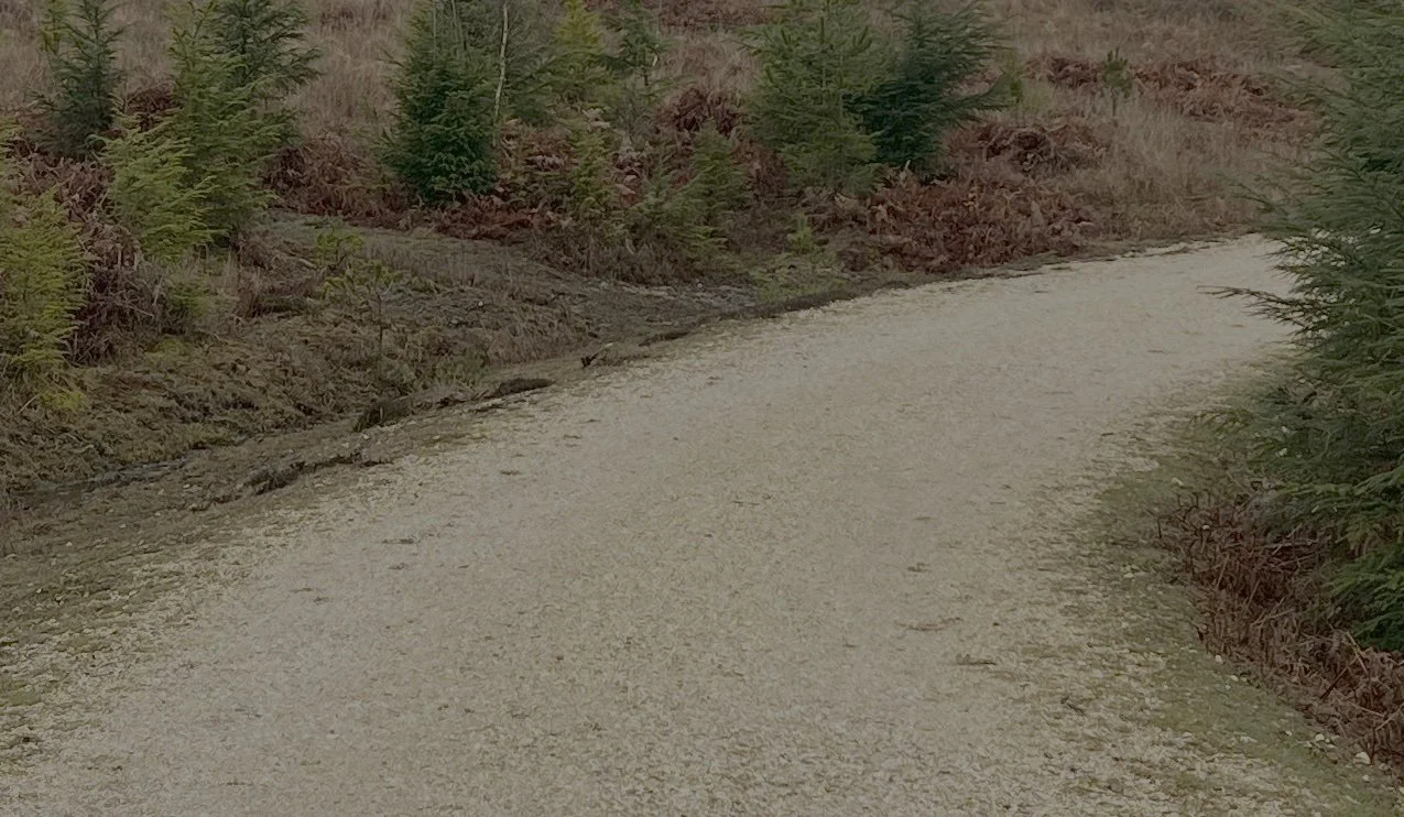 Clue: a mere shadow in this one