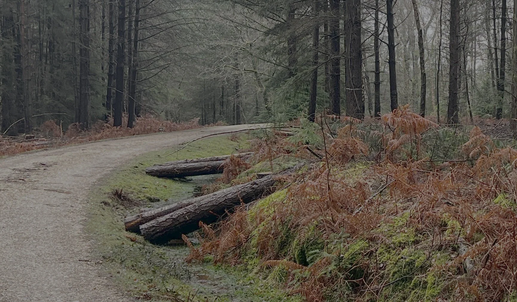 Clue: On the road again....