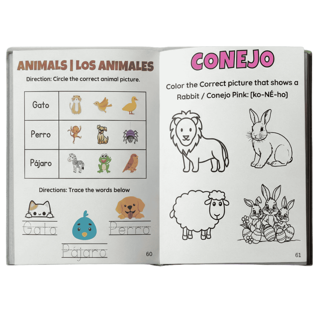 Spanish Workbook for kids