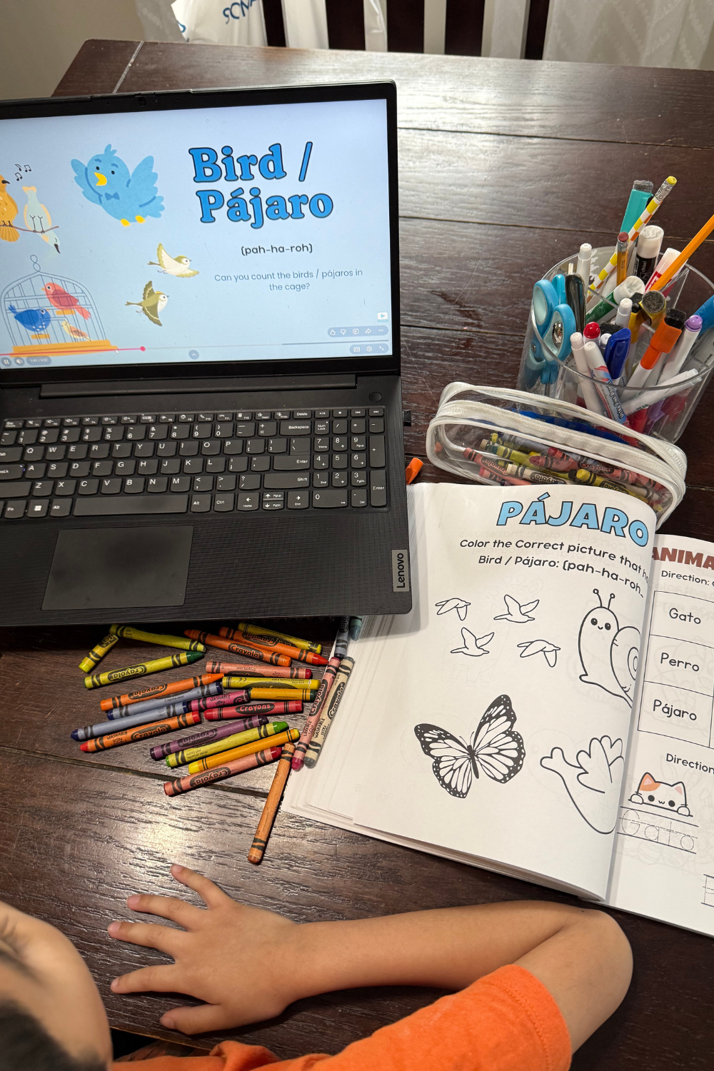 Animals in Spanish