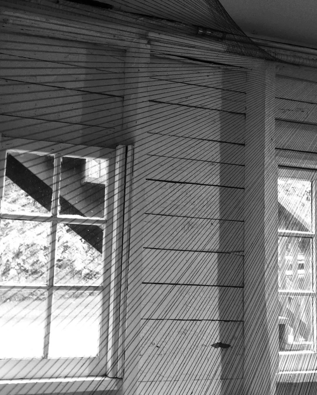 States of Matter - Art Omi 3.jpg