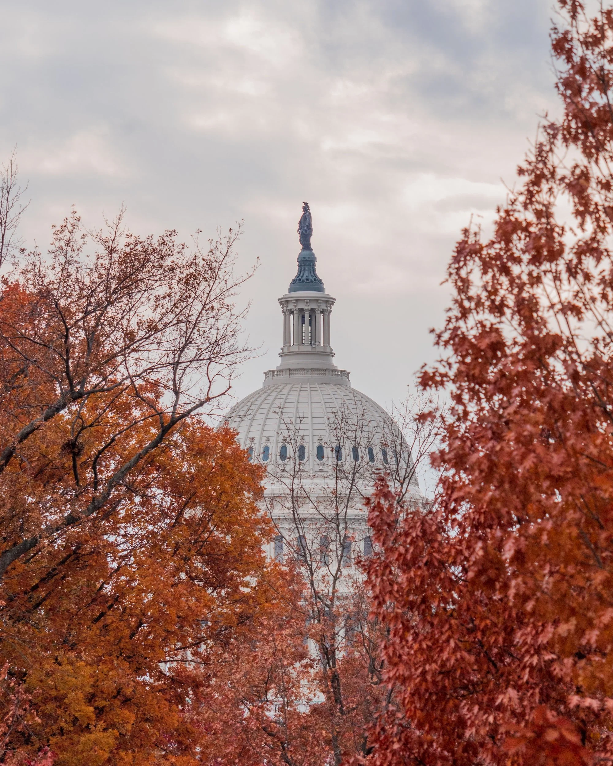 unsplash-image-ycV22QD60iA.jpg