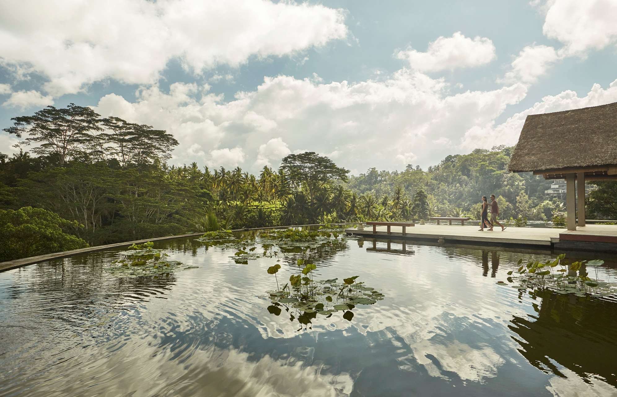DPS-FSSayan-Pond.jpeg