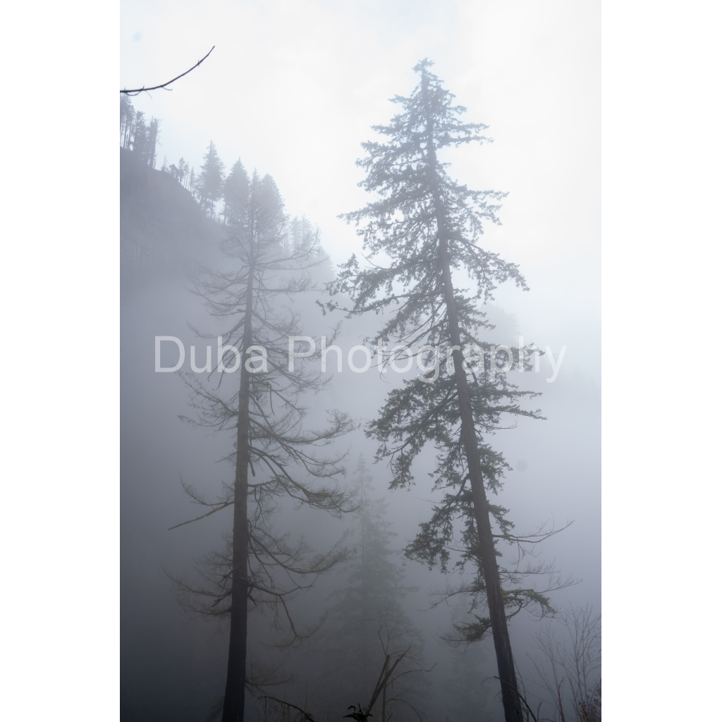 image_original_0ca681f1df8c860be2342ee37544ed4b.png