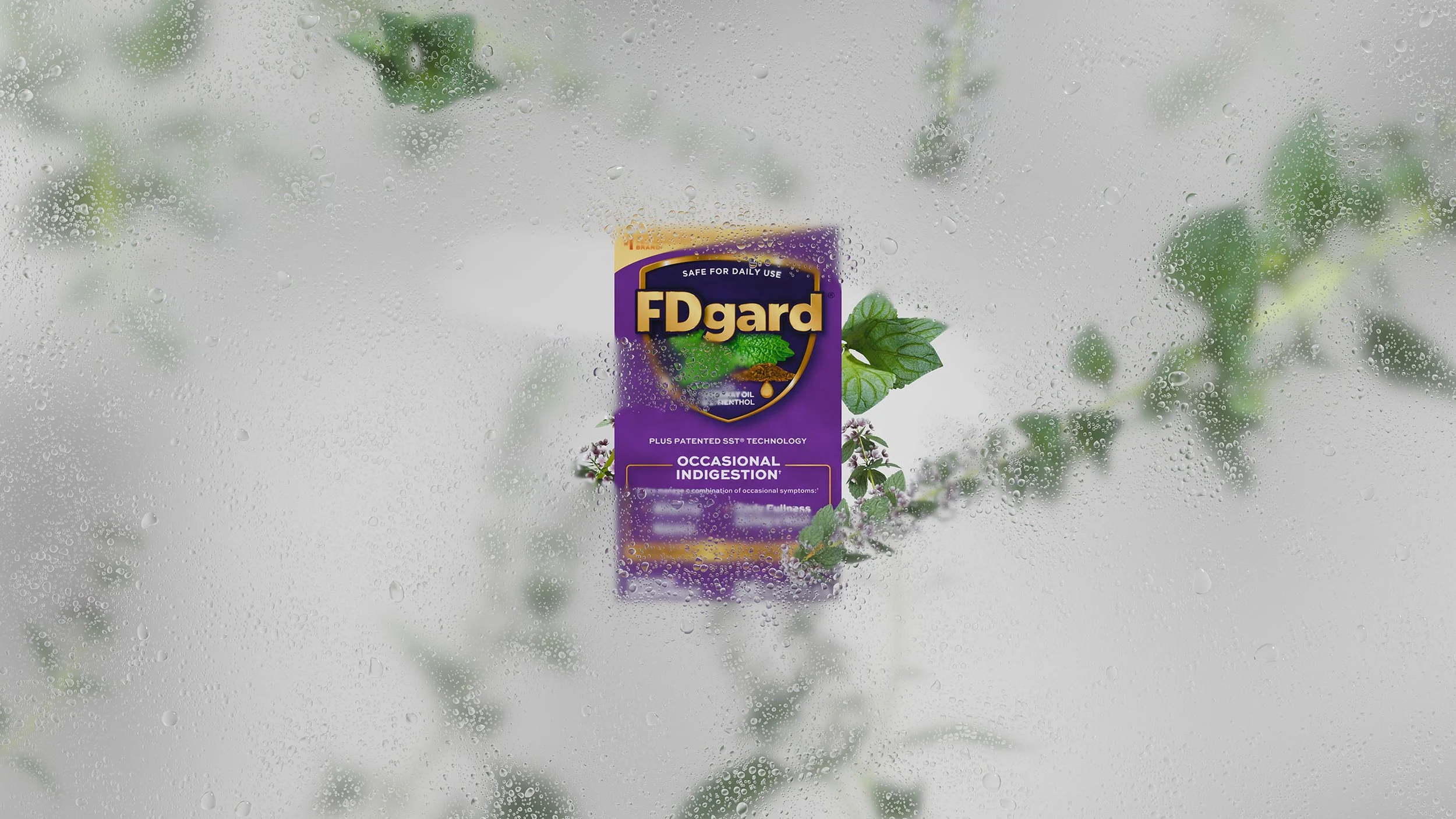 A box of FDgard medication for occasional indigestion is seen through a foggy, rain-covered window with green leaves and purple flowers outside.